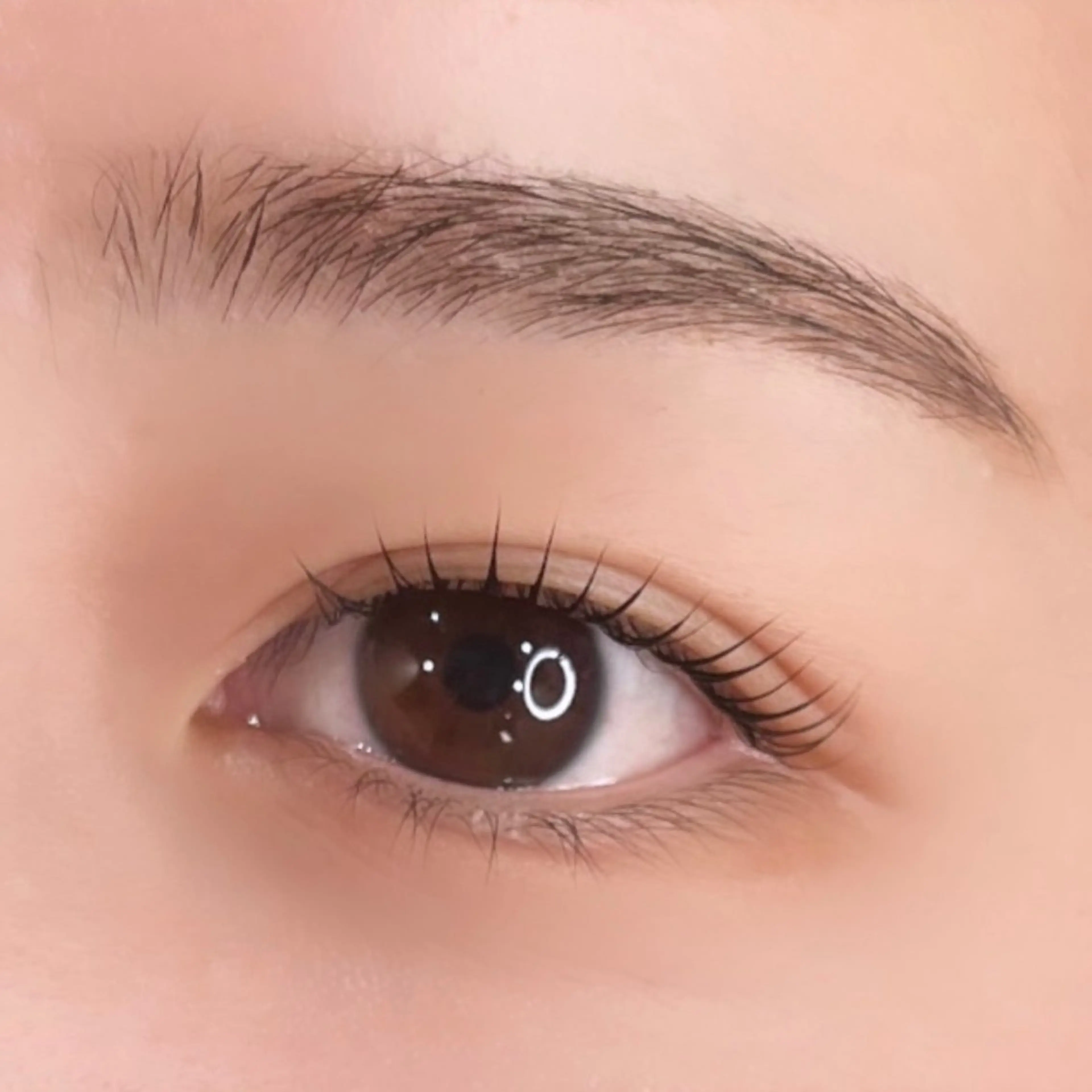 マツエク・マツパ まつげパーマ マツパ 🩵HARUHI 京都Two🩵の眉毛・アイブロウイメージ