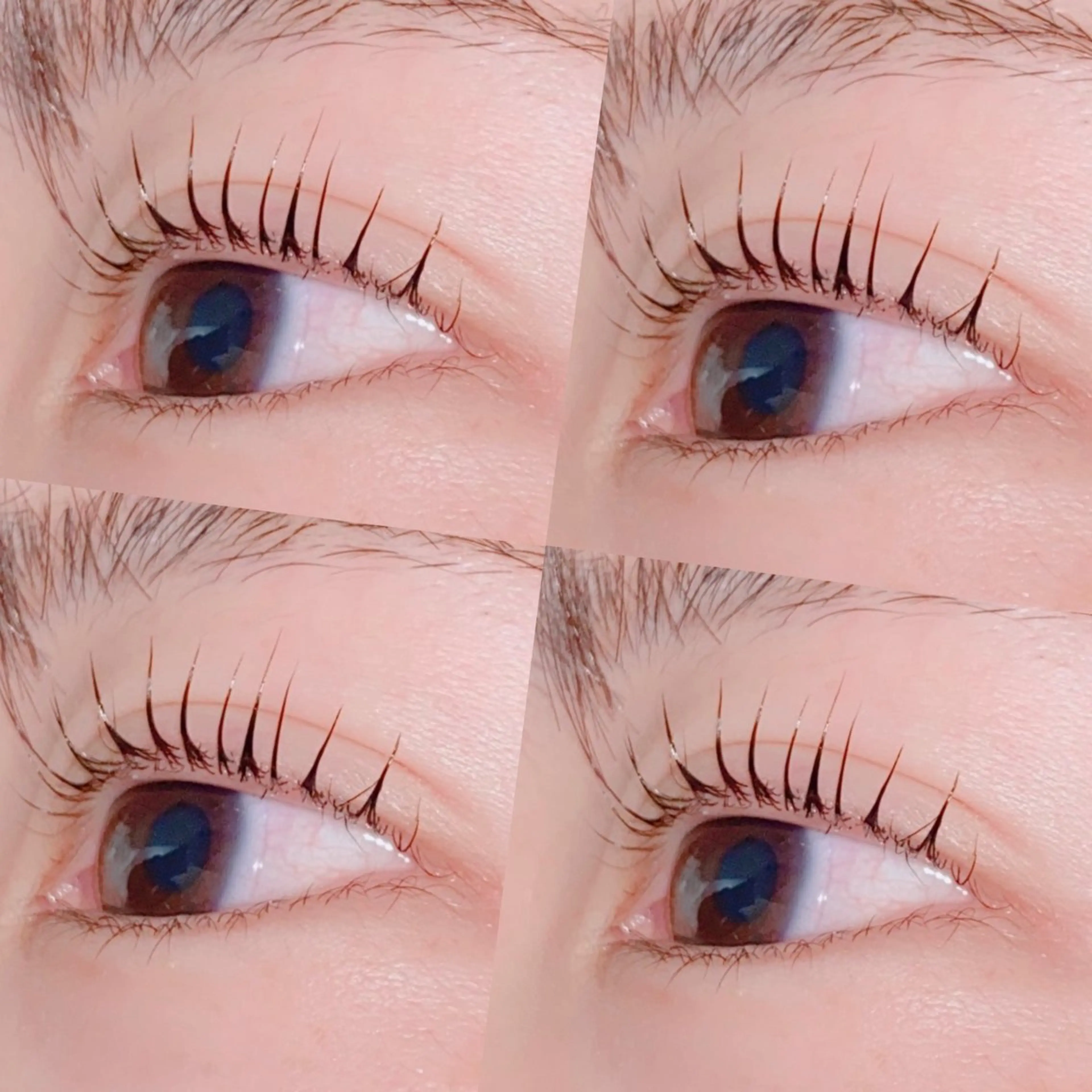 マツエク・マツパ Miyu🦋 【Angelica】のマツエク・マツパデザイン