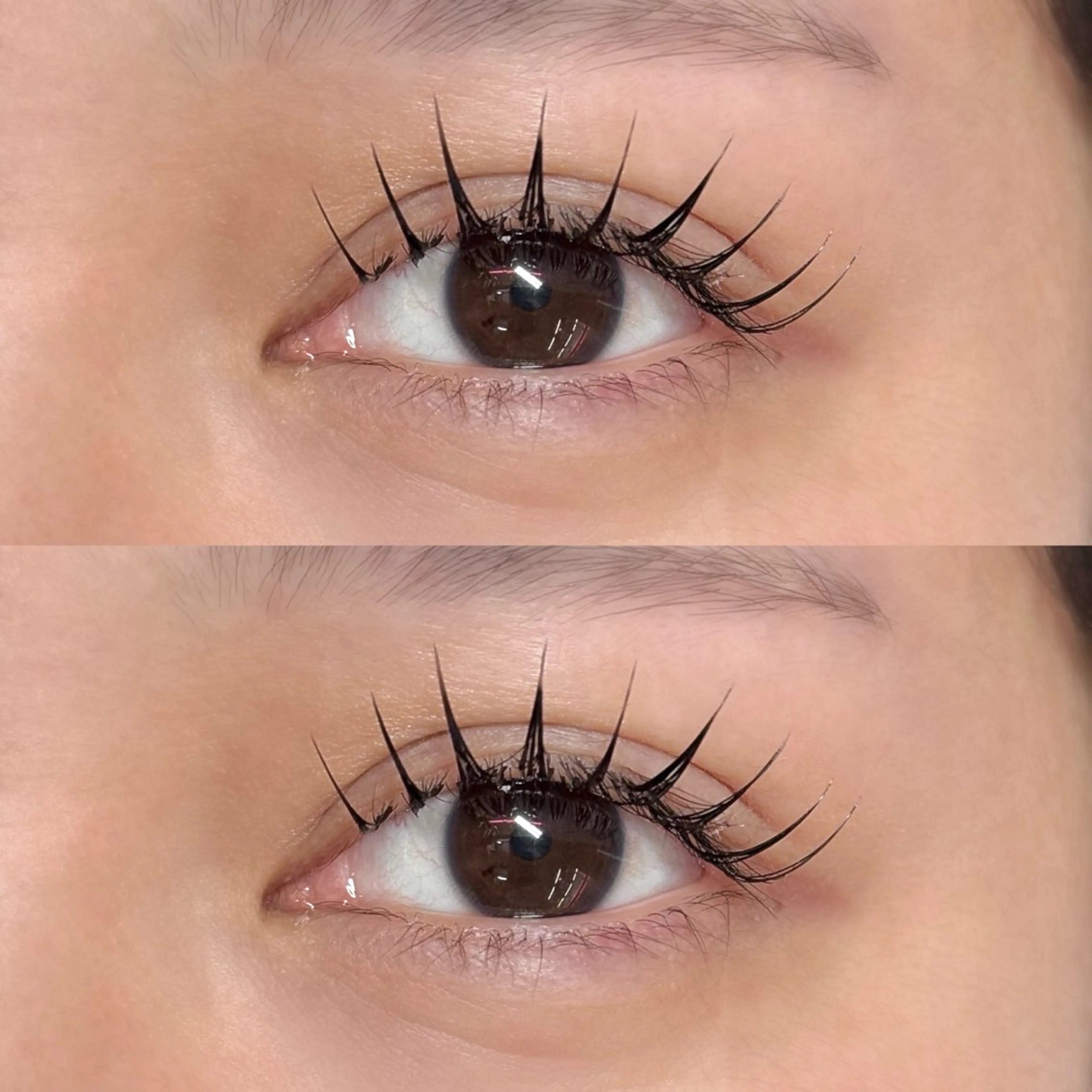 マツエク・マツパ Lカール マツエク 🌺WOLTOKYO 池袋🌺suzukaのマツエク・マツパデザイン