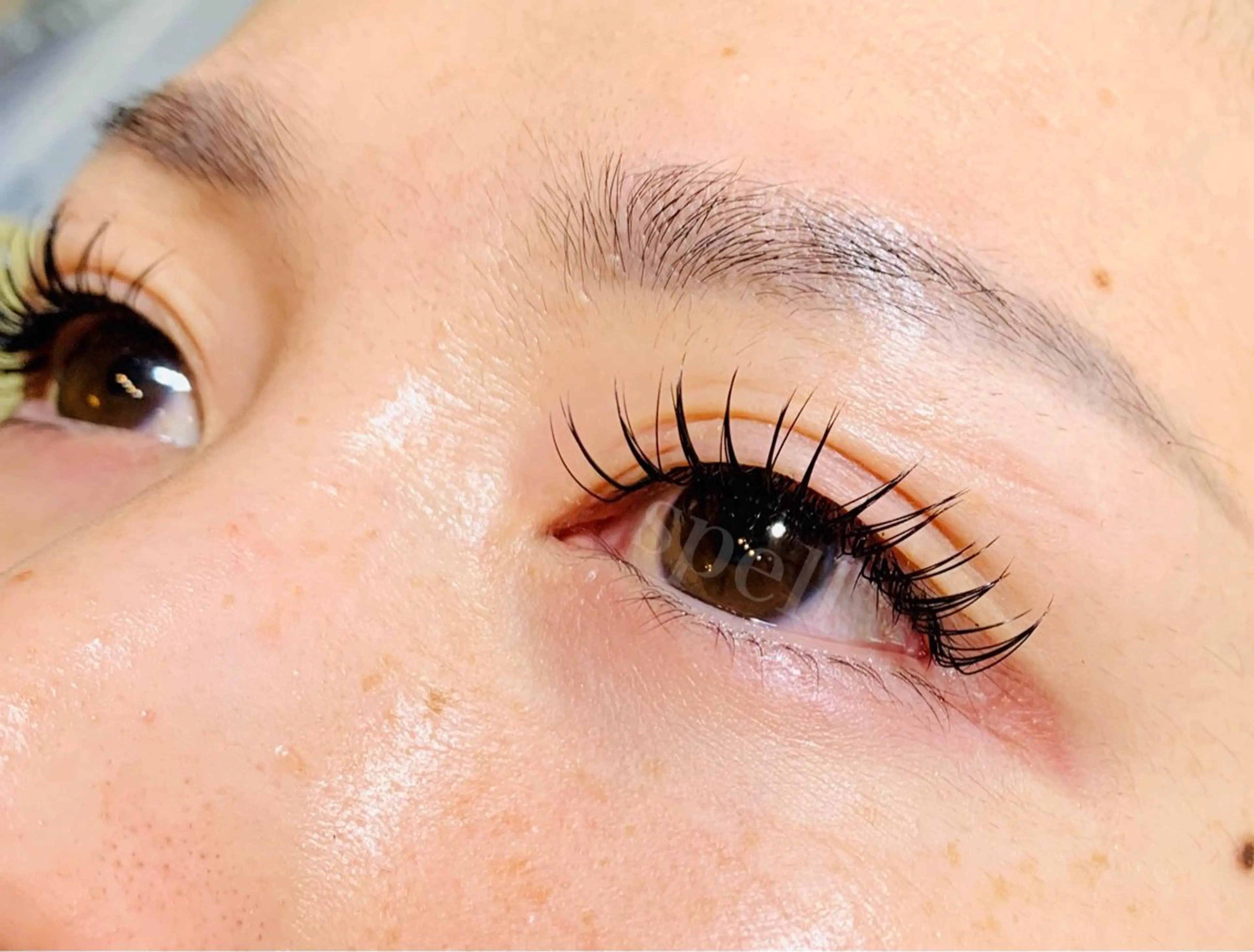 マツエク・マツパ マツエク spell eyelashのマツエク・マツパデザイン