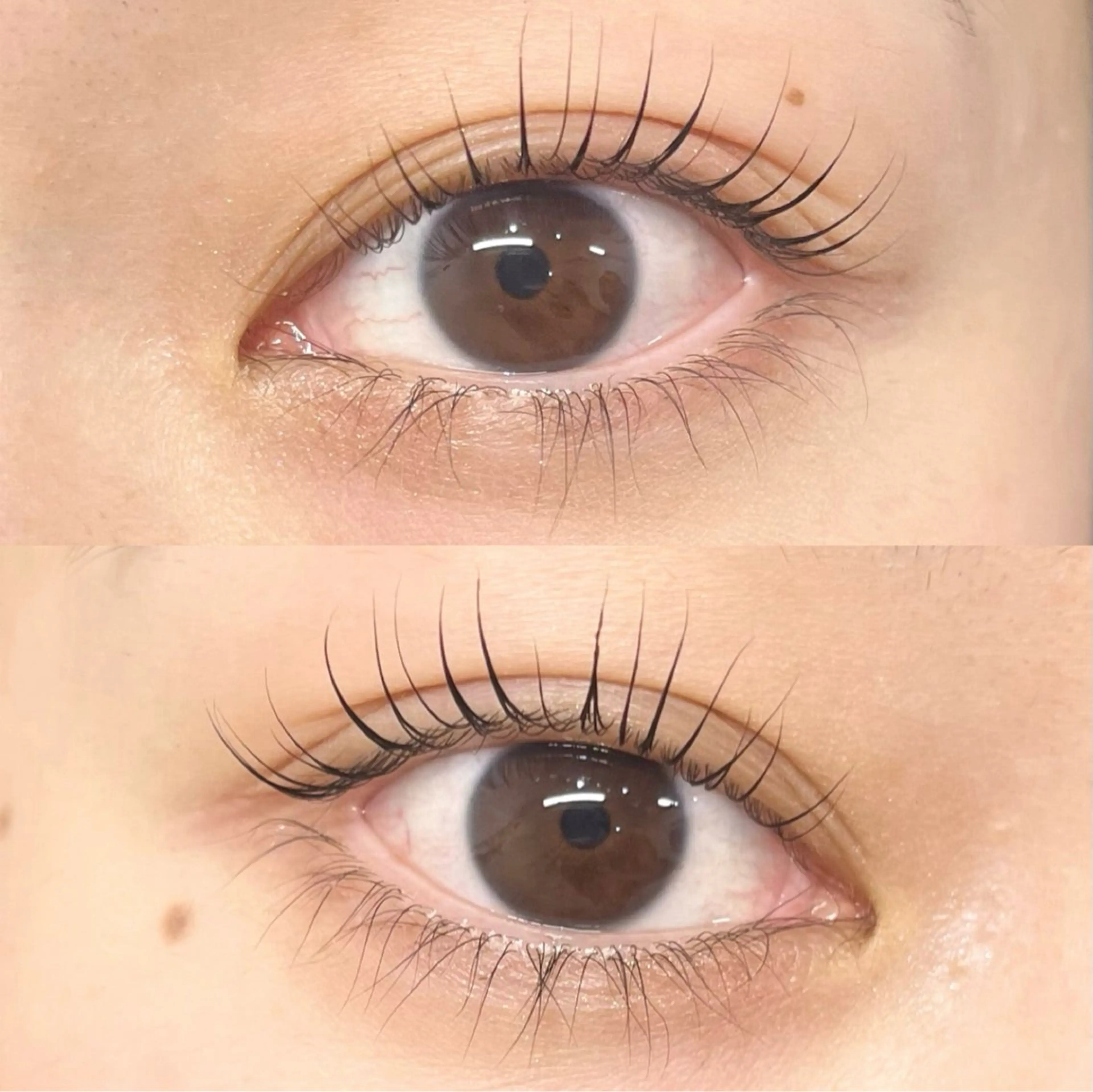 【期間限定練習モデル⭐️】ラッシュリフト(まつ毛パーマ)＋TR＋コーティング剤込👀⚠️時間厳守&注意事項必読の写真