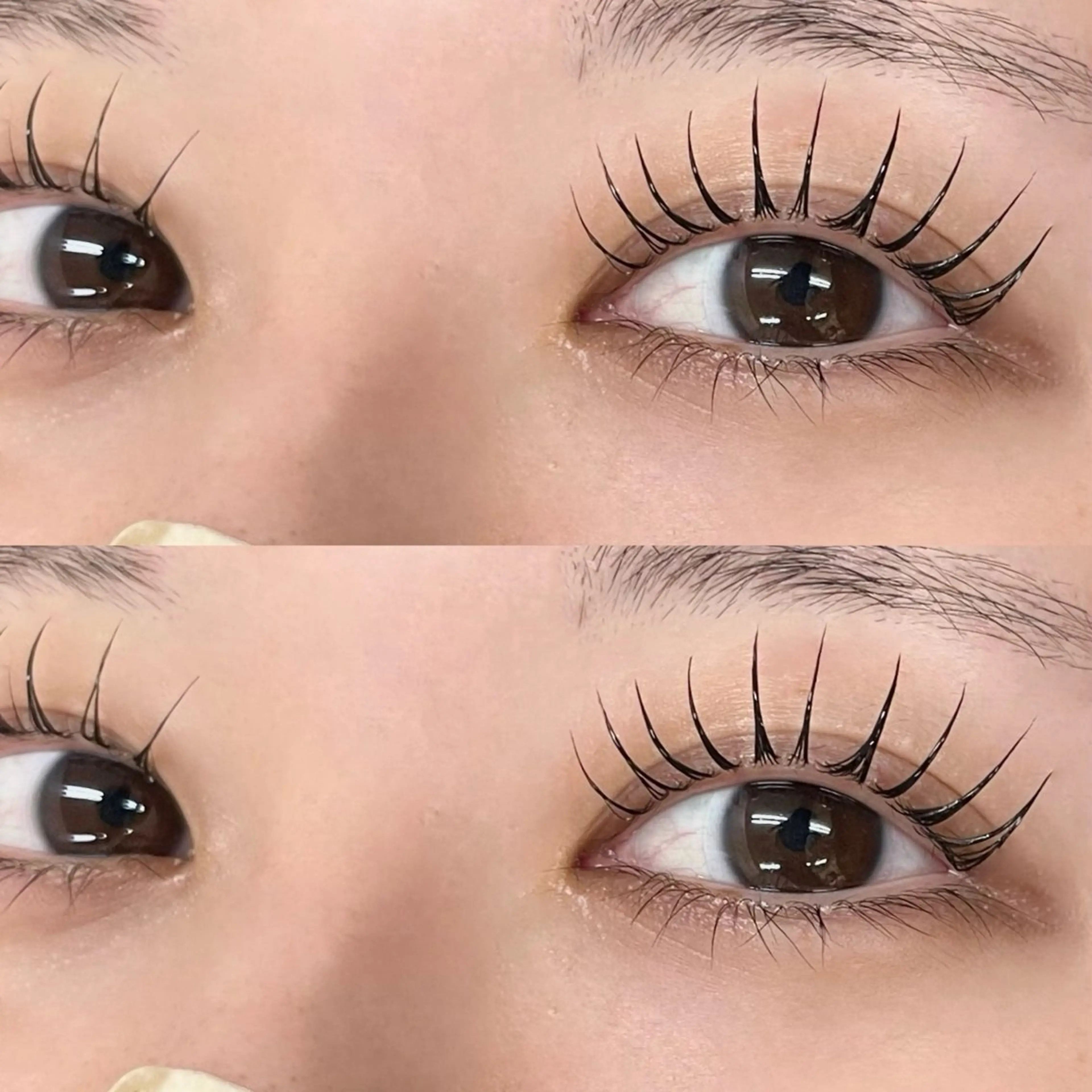 🍇🧶LEDマツエク60本+コスメラッシュリフト🧶🍇美容液コーティング仕上げ💫の写真