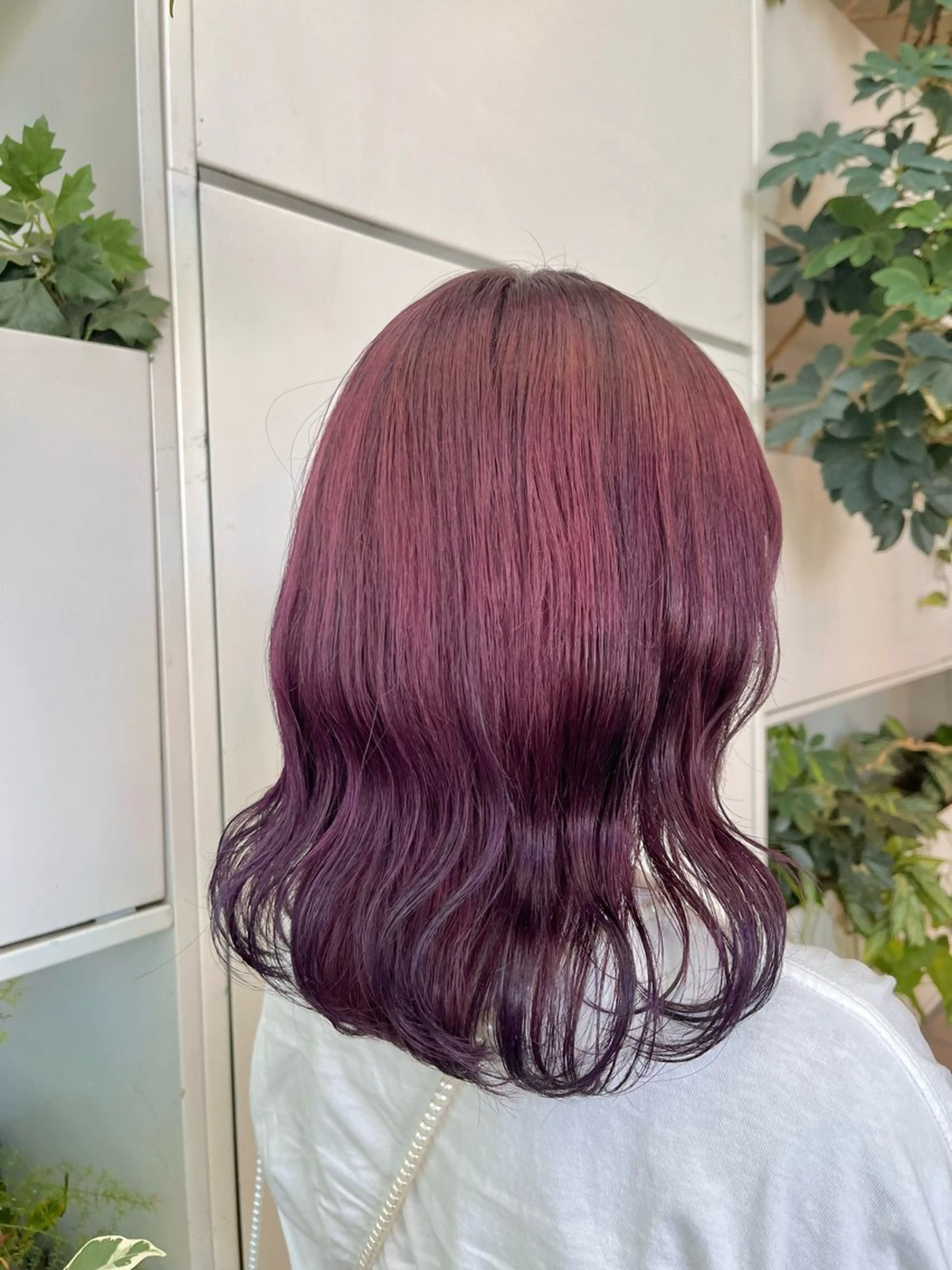 ミディアム カラー グラデーションカラー ピンクカラー くさかみさき🌼暖色 /耳つぼ/オタク🌼のヘアスタイル