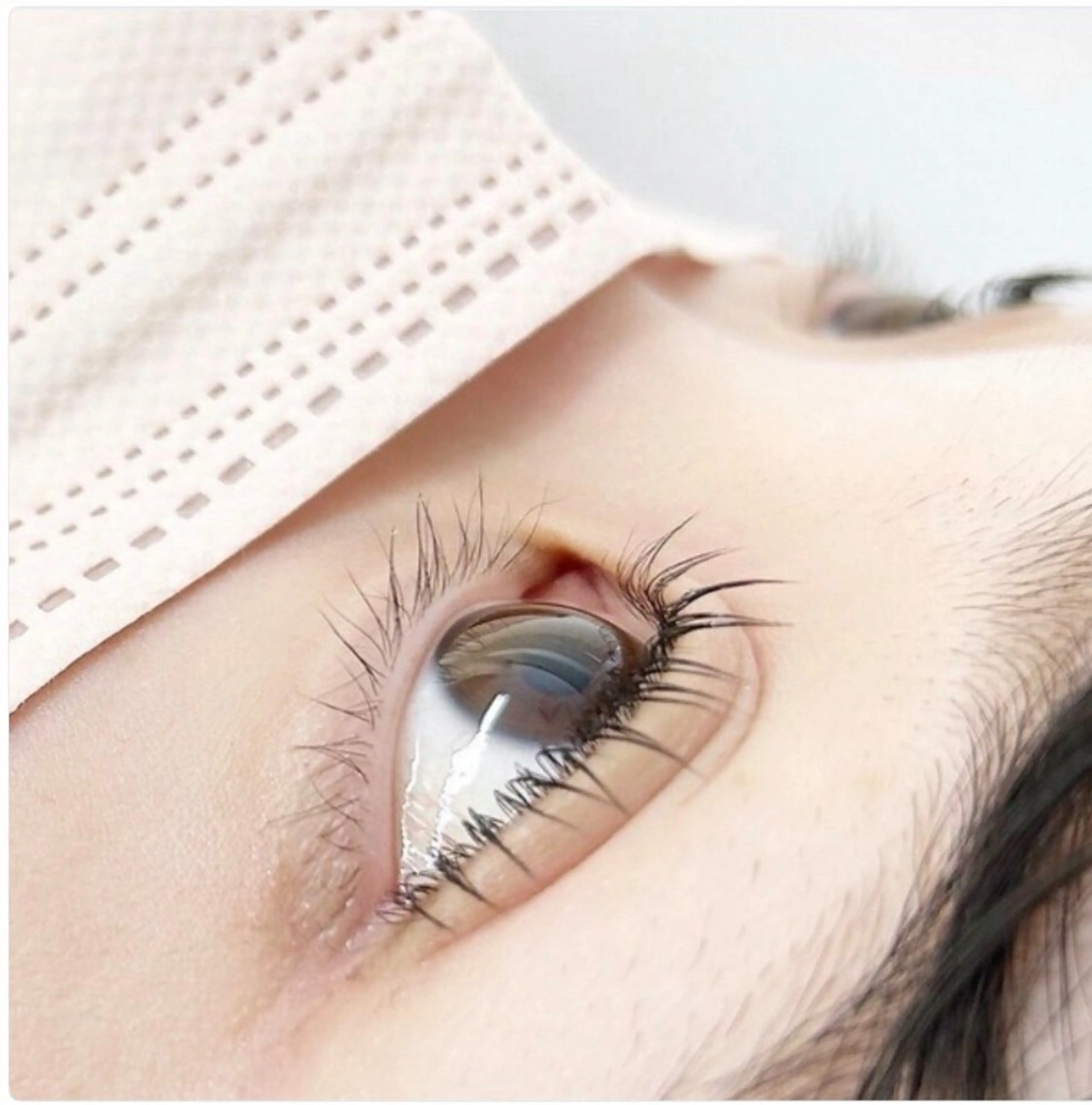 ビューラーまつ毛パーマ練習モデル🍀の写真