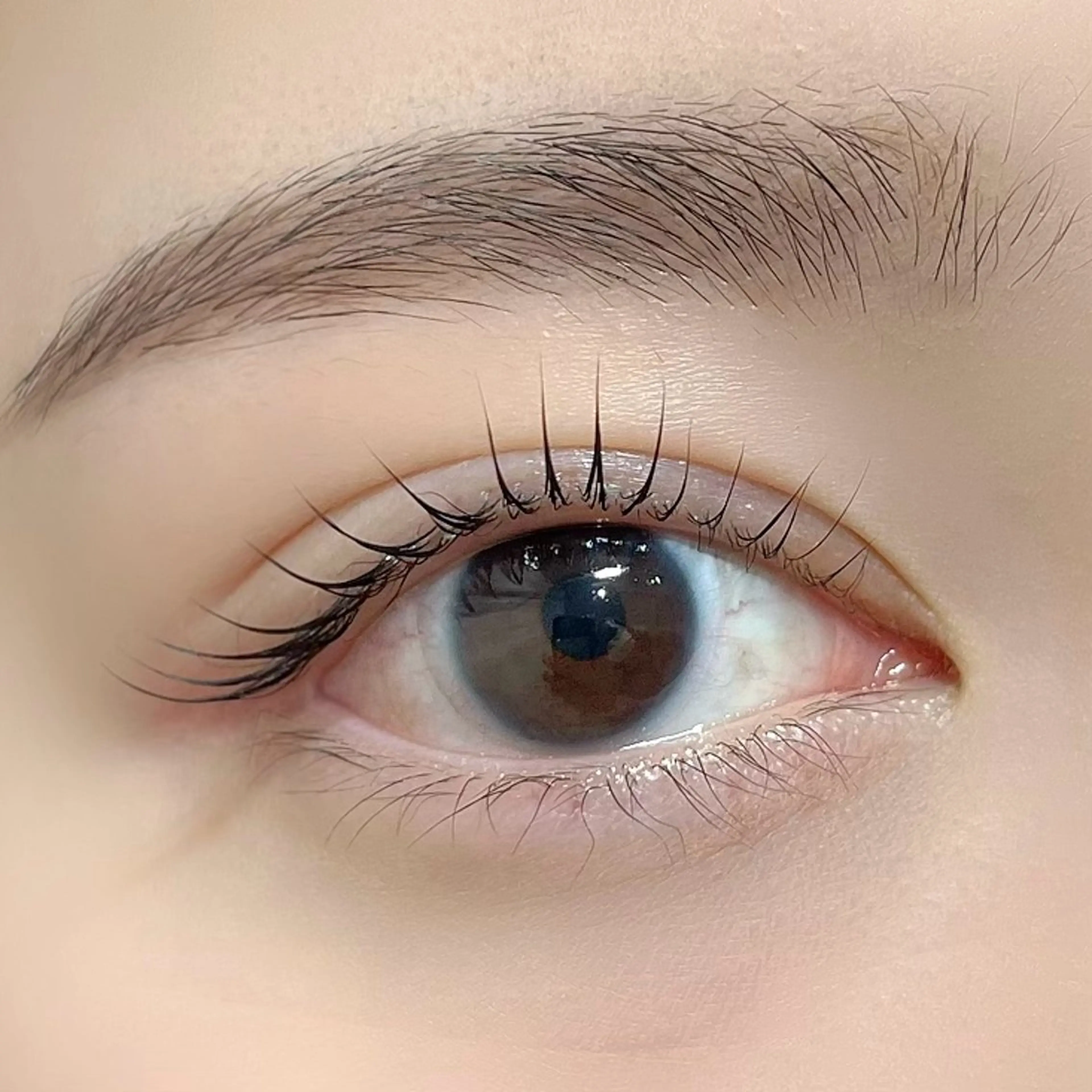 【人気No.1メニューの平日限定料金】🌙オーダーメイドラッシュリフトor次世代まつ毛カール🌙の写真