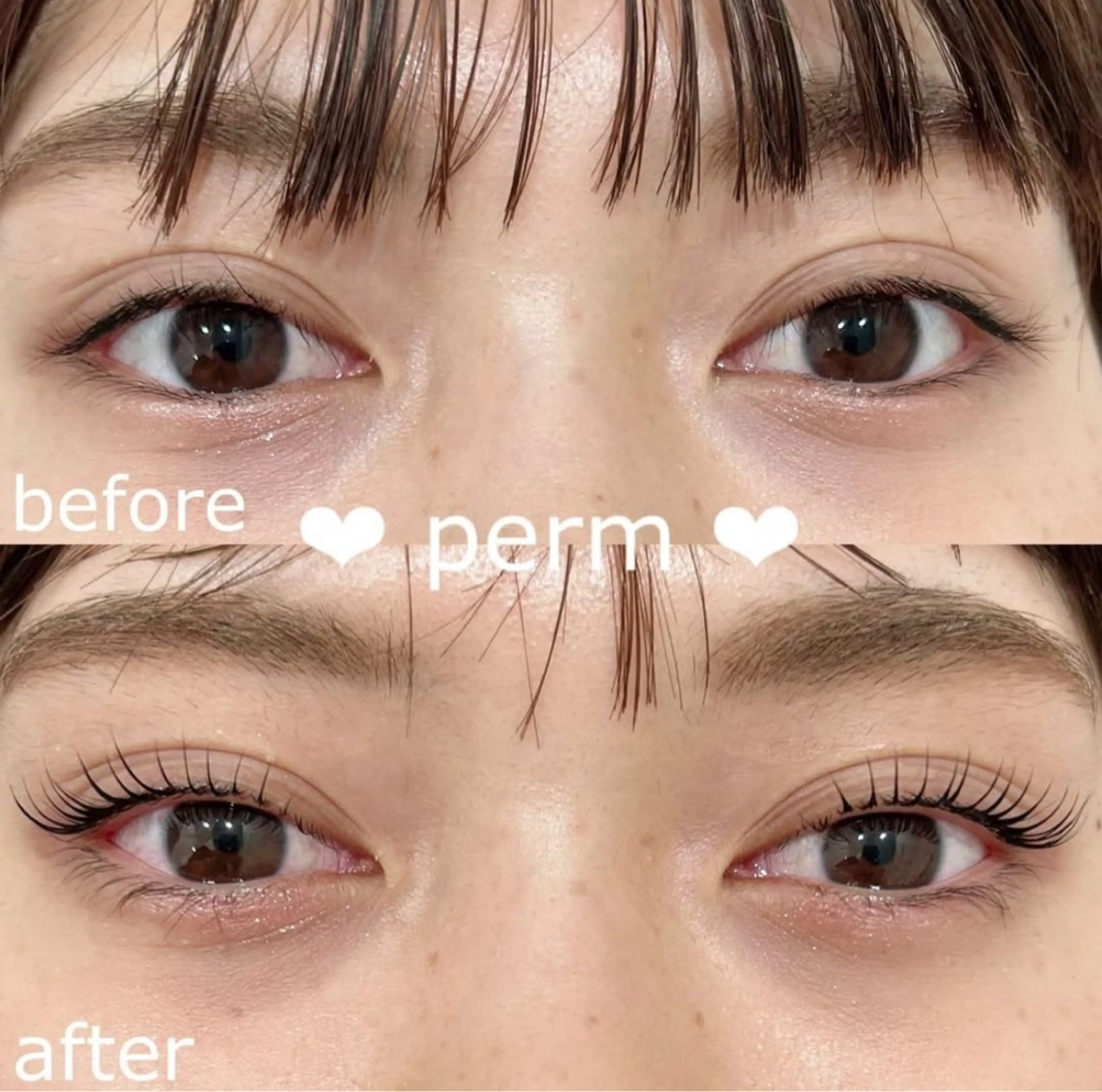 ♡ 【プレミアム】上パーマ下パリ＋美容液 option付♡の写真