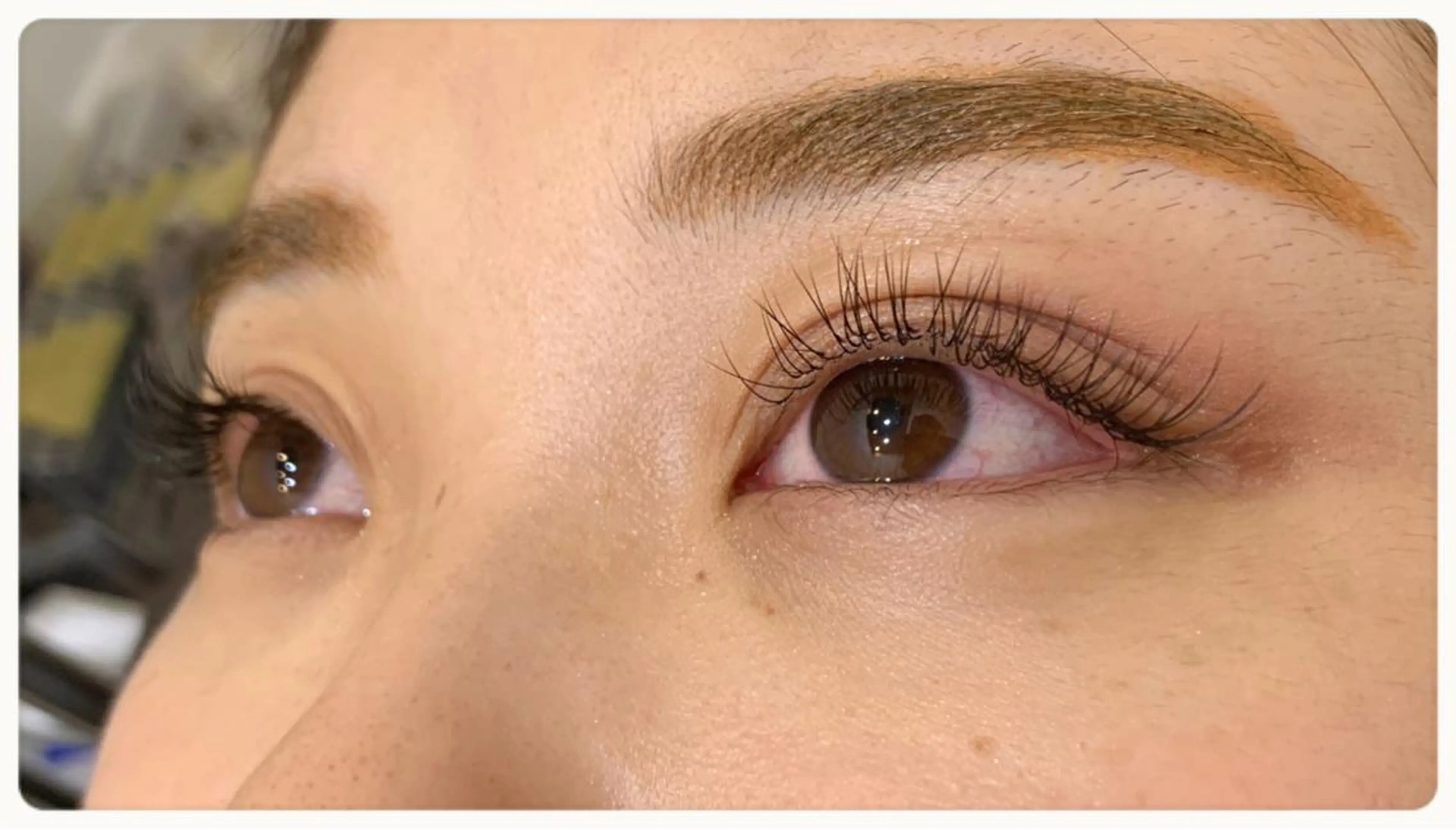 マツエク・マツパ Cカール DaisyLash yuria🫧のマツエク・マツパデザイン