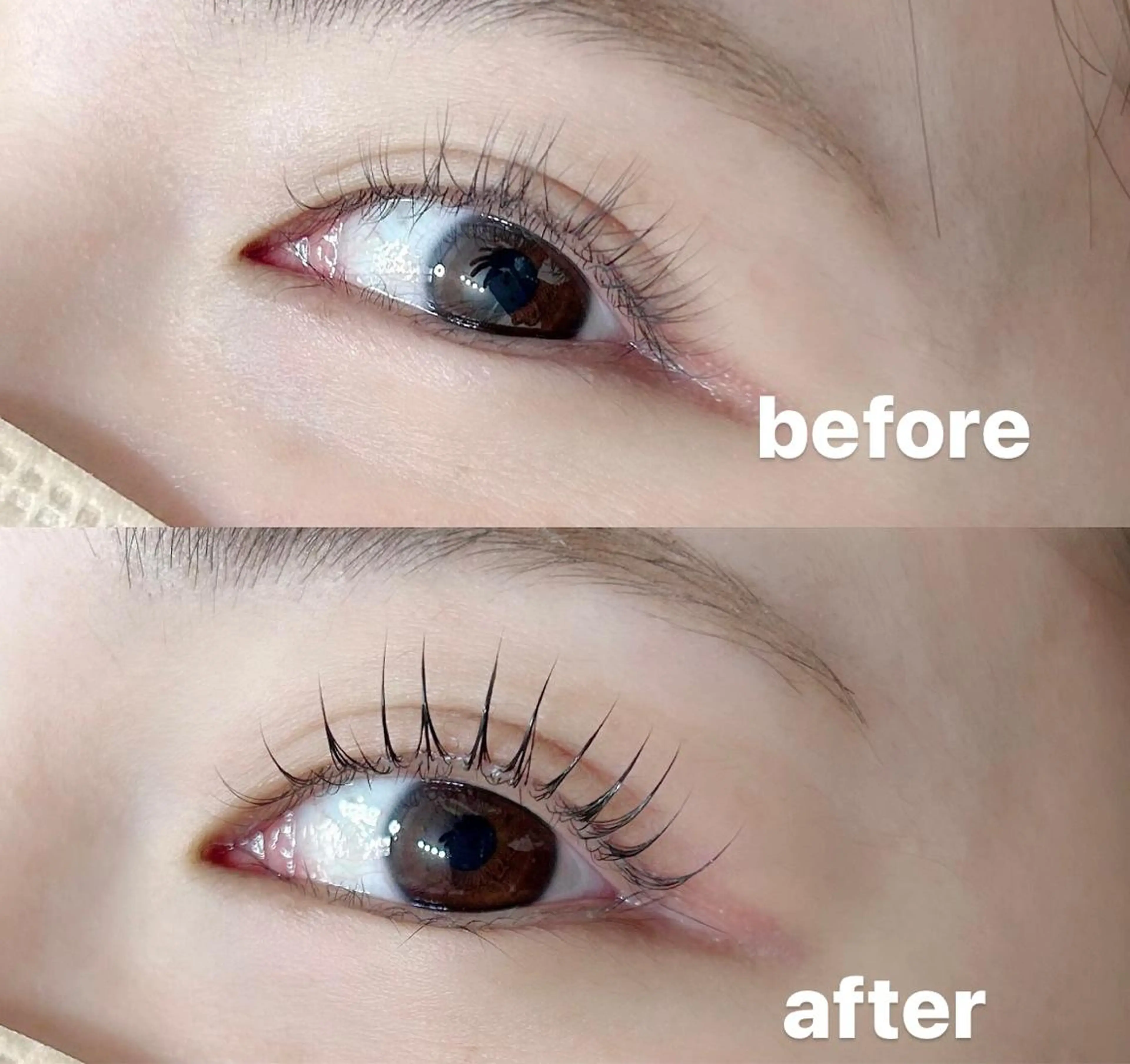 マツエク・マツパ eyelash Aoのマツエク・マツパデザイン