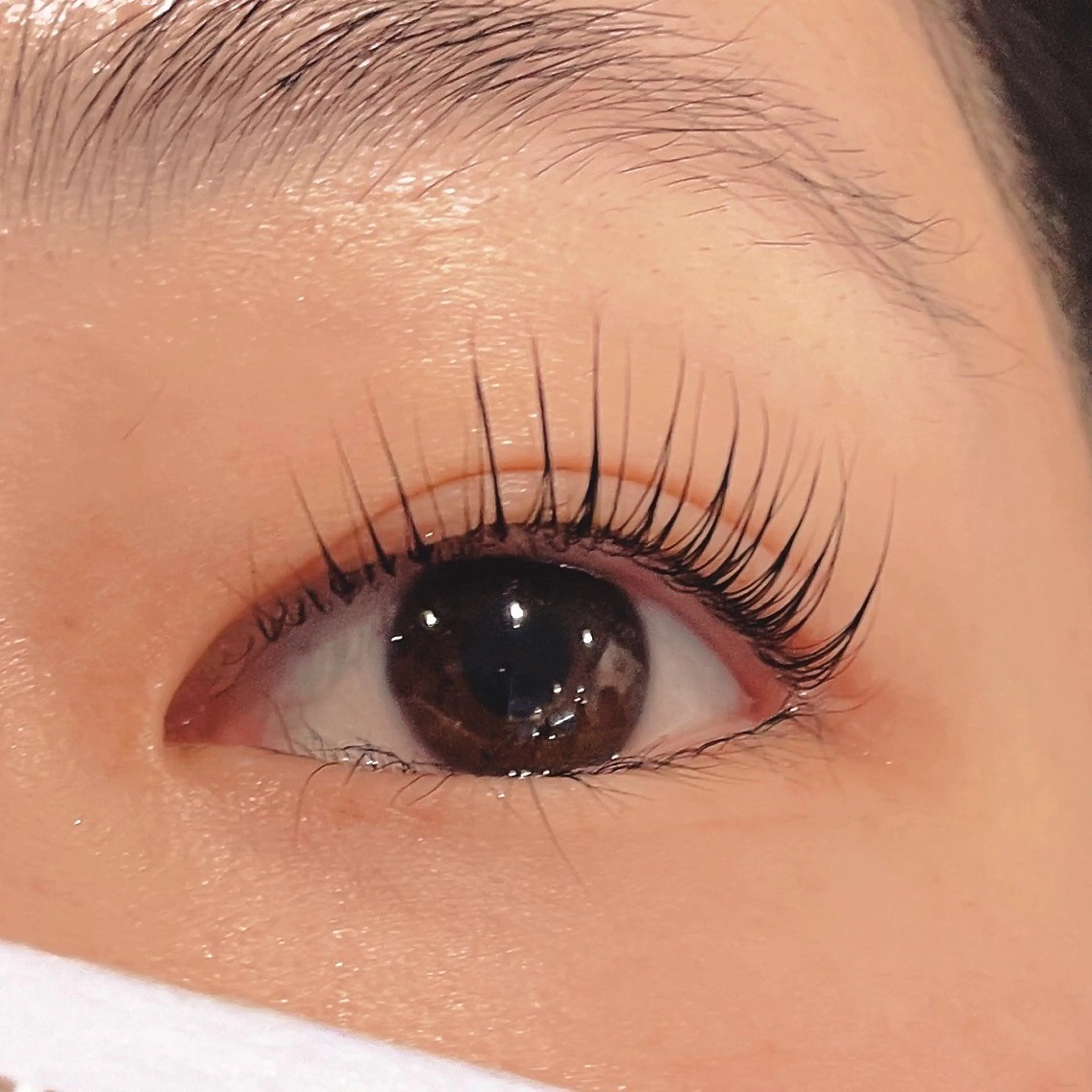 マツエク・マツパ マツパ bien 🐈⬛の眉毛・アイブロウイメージ