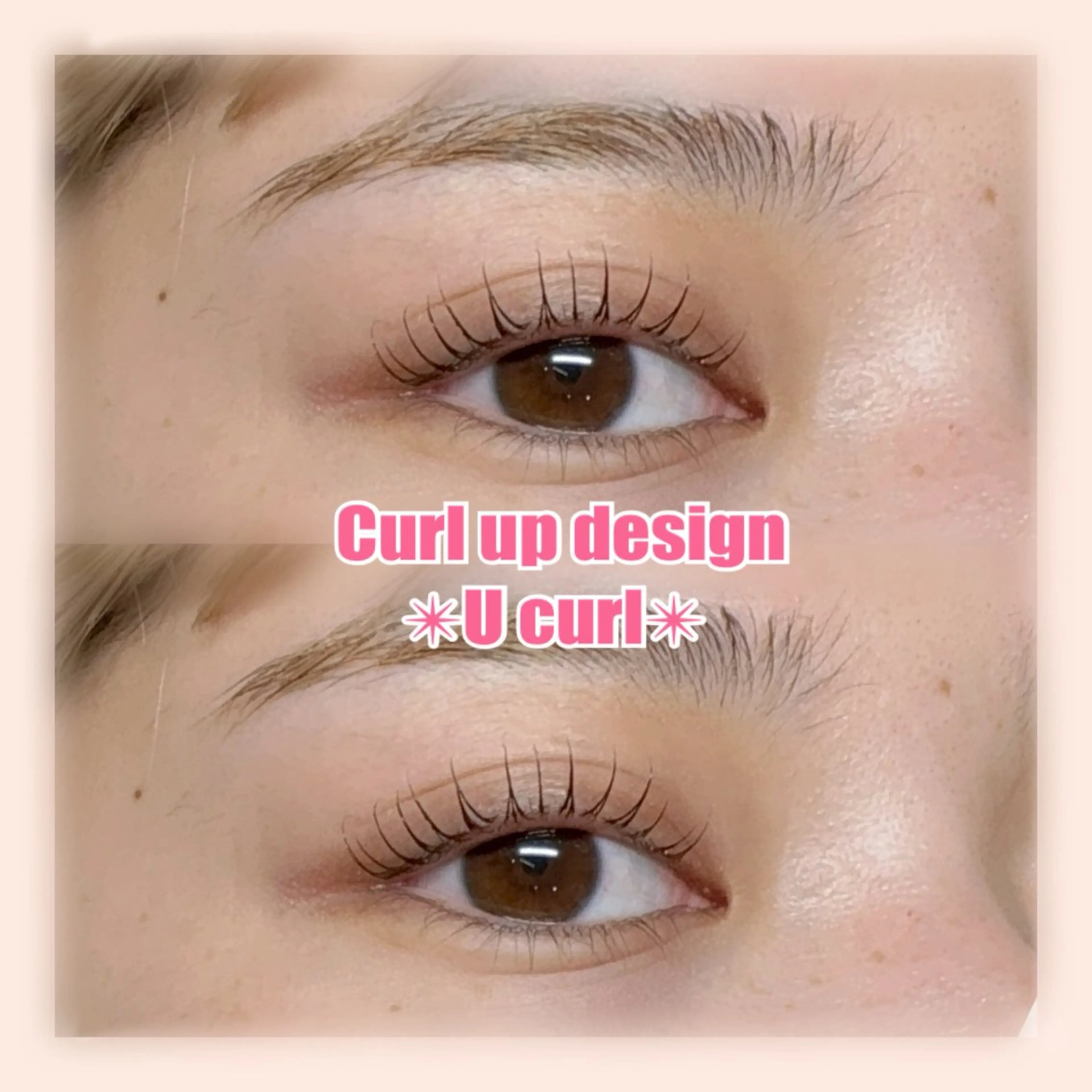 🍒ラッシュリフト🍒(コーティング仕上げ)の写真