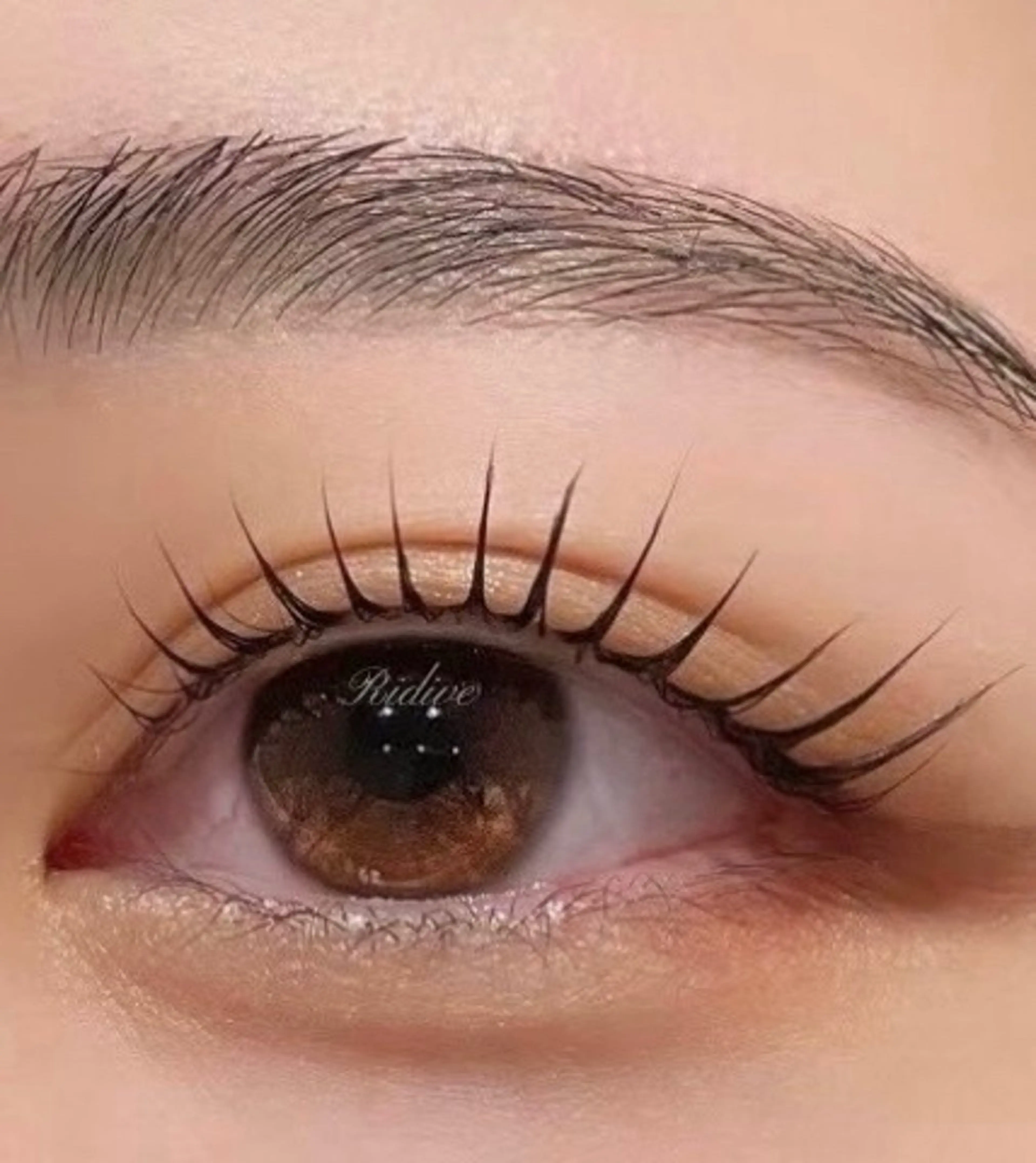 アイブロウ Ridive 調布店のマツエク・マツパデザイン