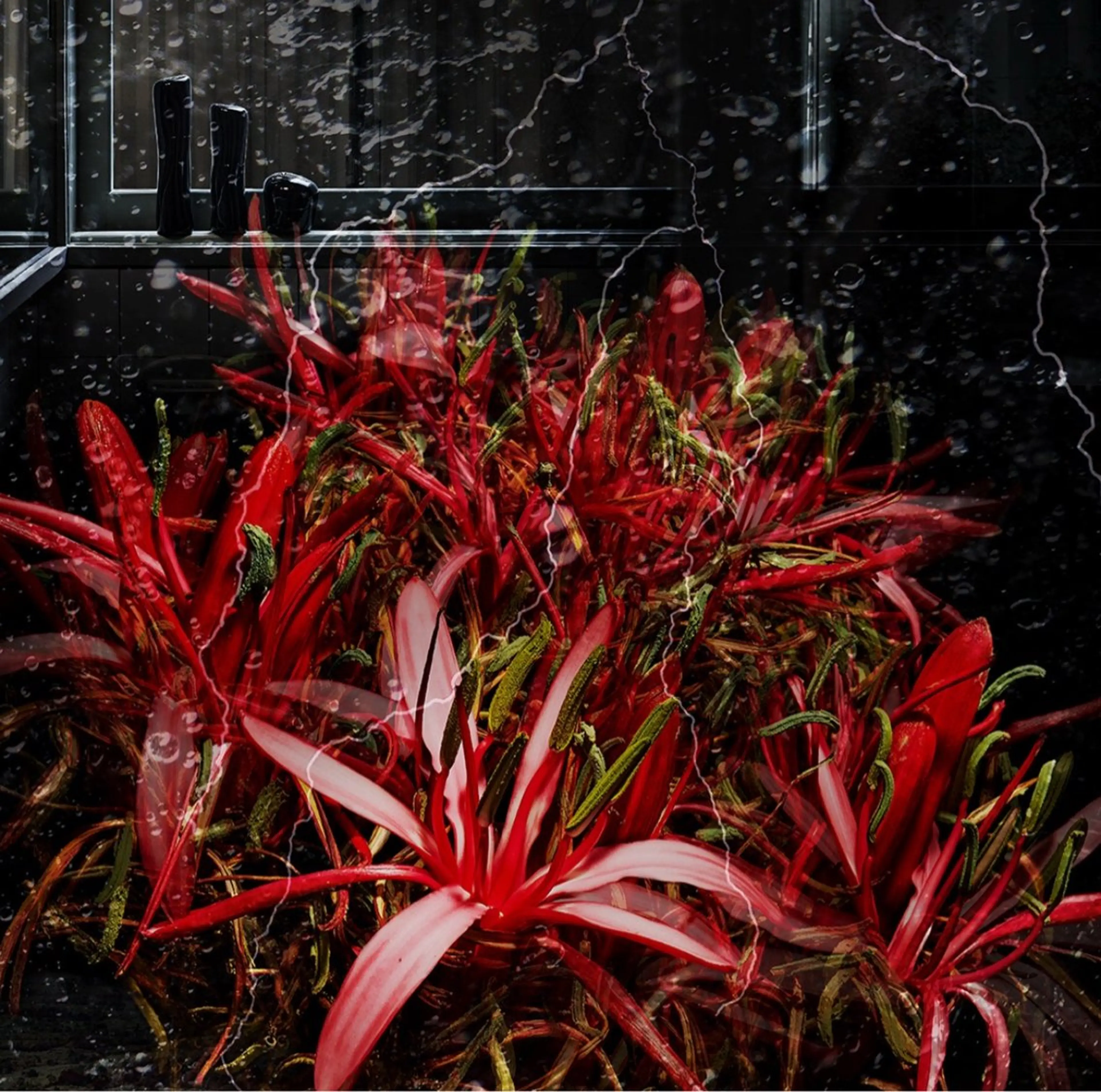 竹中 萌々子のエステ・リラクイメージ