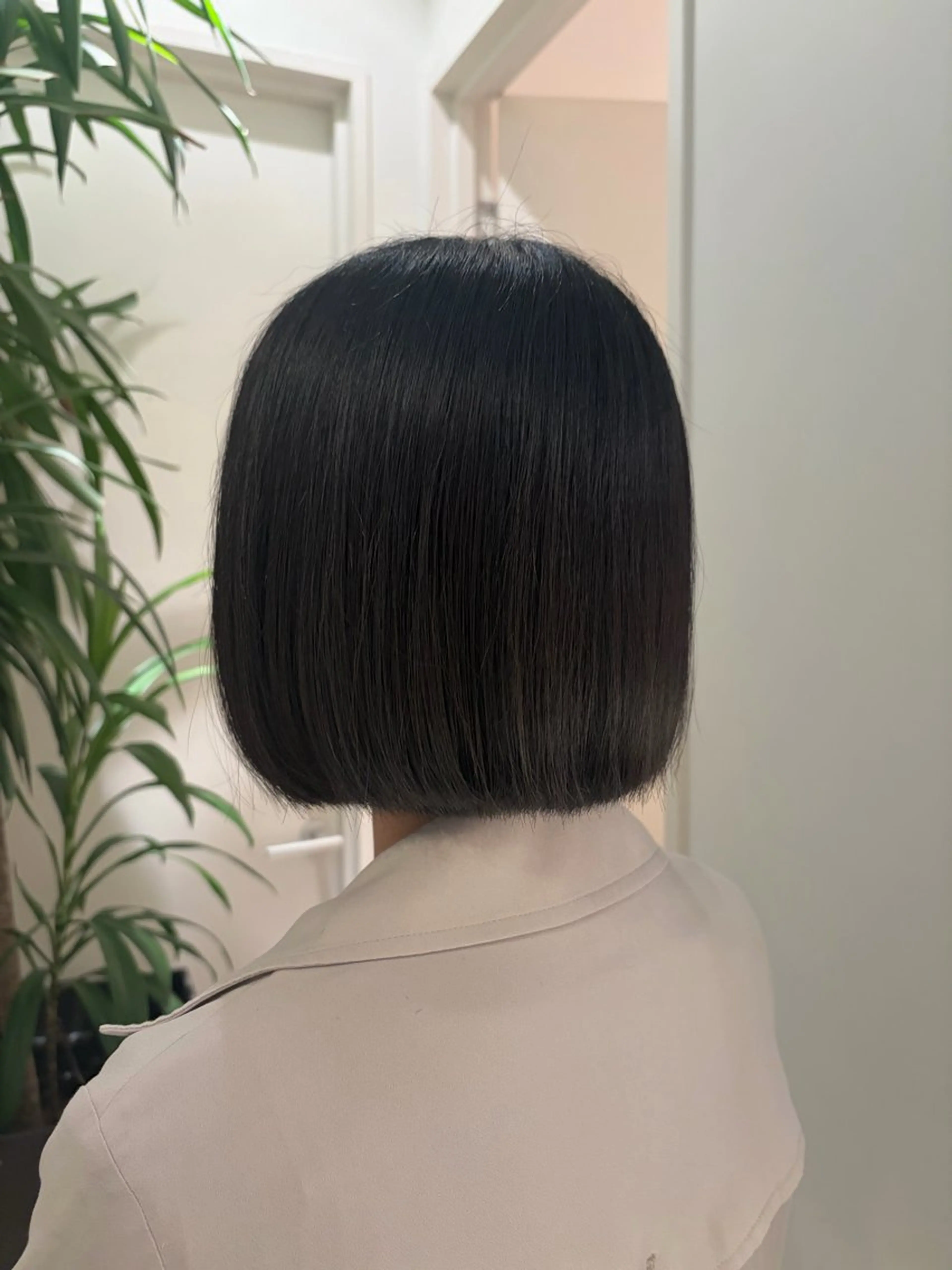 ショート Koyuki /透明カラー/ボブのヘアスタイル