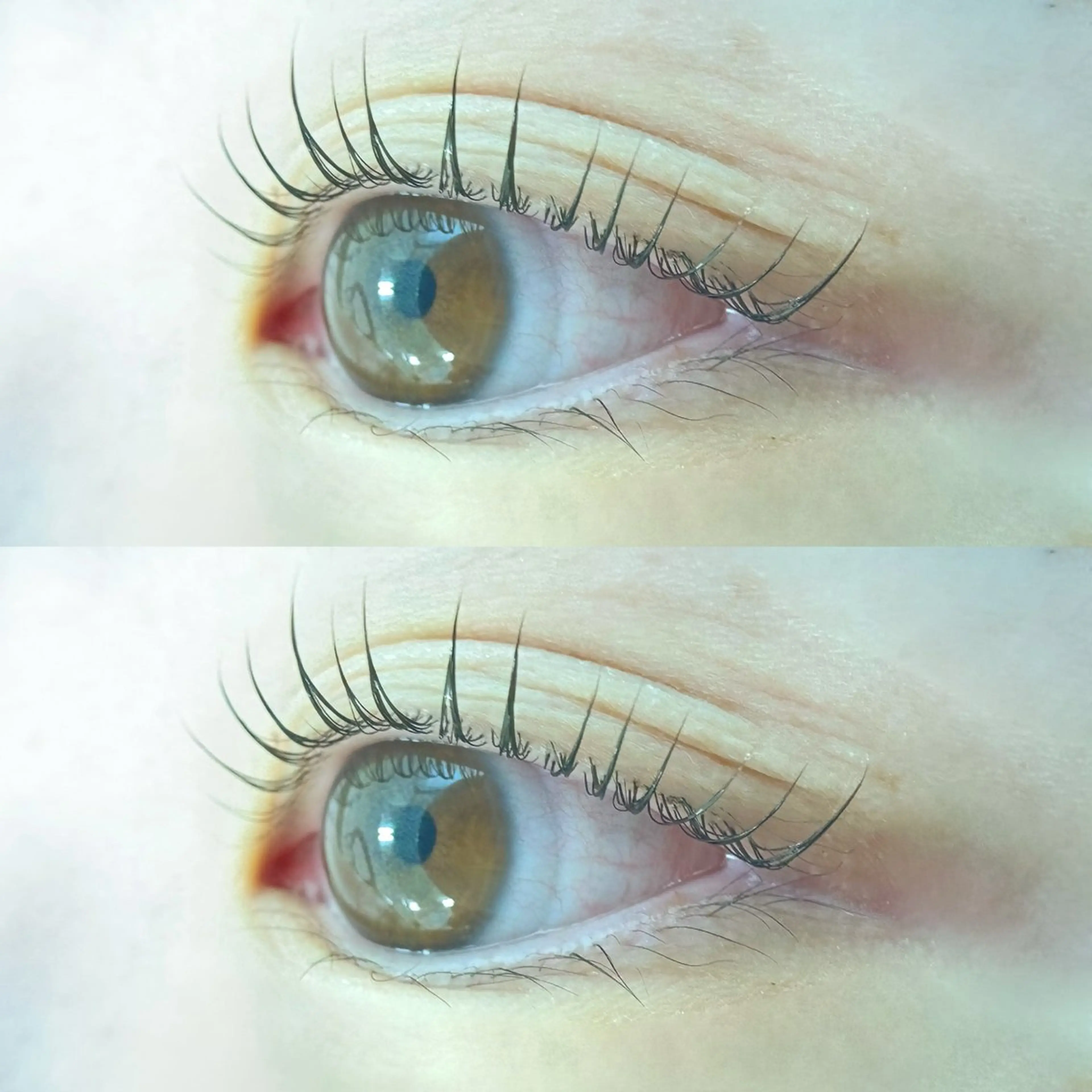 マツエク・マツパ 束感まつ毛 マツパ 【Natully】 Ami🧸のマツエク・マツパデザイン