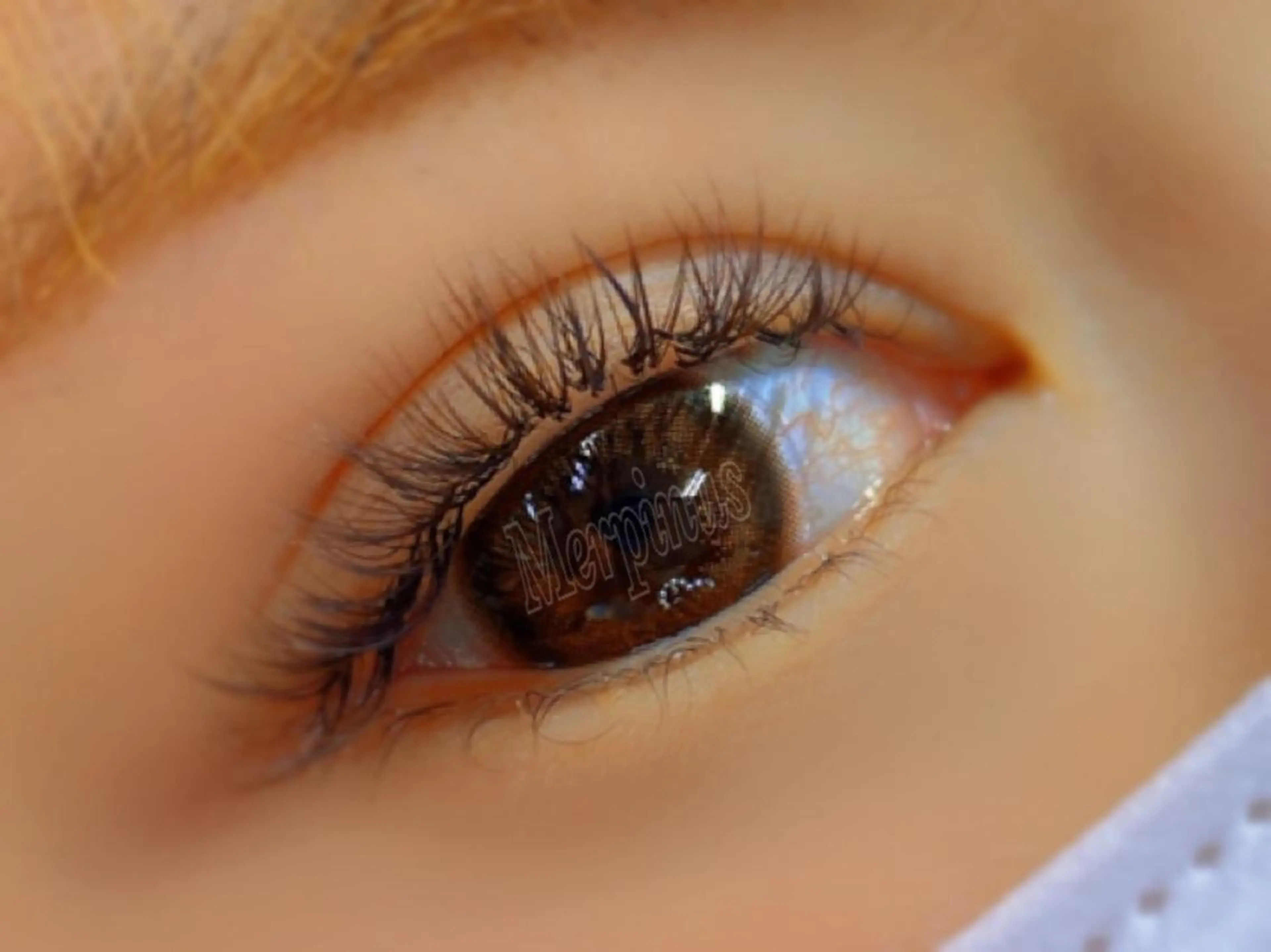 マツエク・マツパ バインドロック ボリュームラッシュ マツエク Eyelash salon kukuna所属・まつ毛サロン Kukunaのマツエク・マツパデザイン