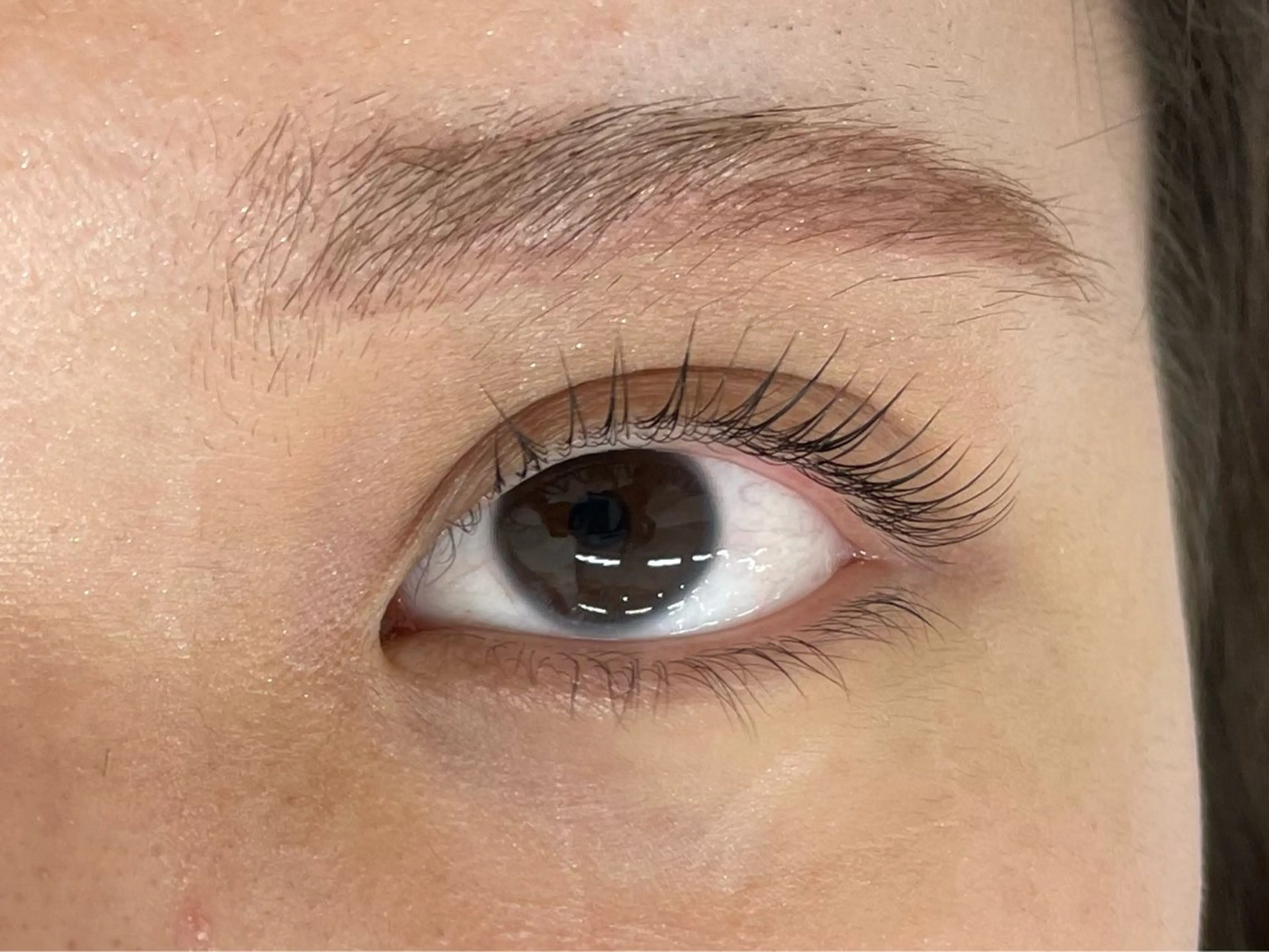 マツエク・マツパ マリーテレジア 🪻YUKAのマツエク・マツパデザイン