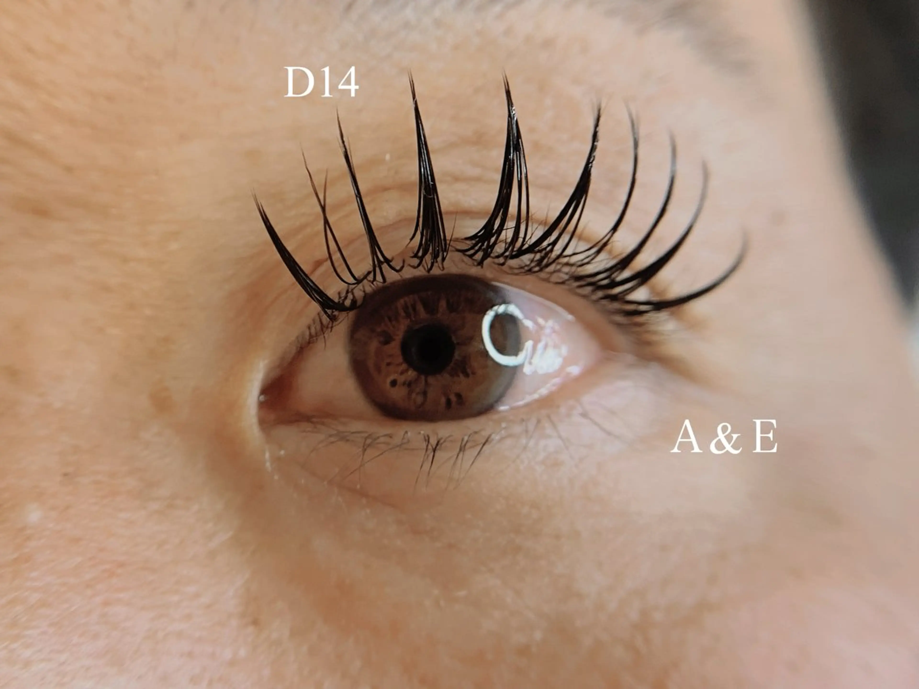 マツエク・マツパ 西岡 /マツエク/束感🎀のマツエク・マツパデザイン