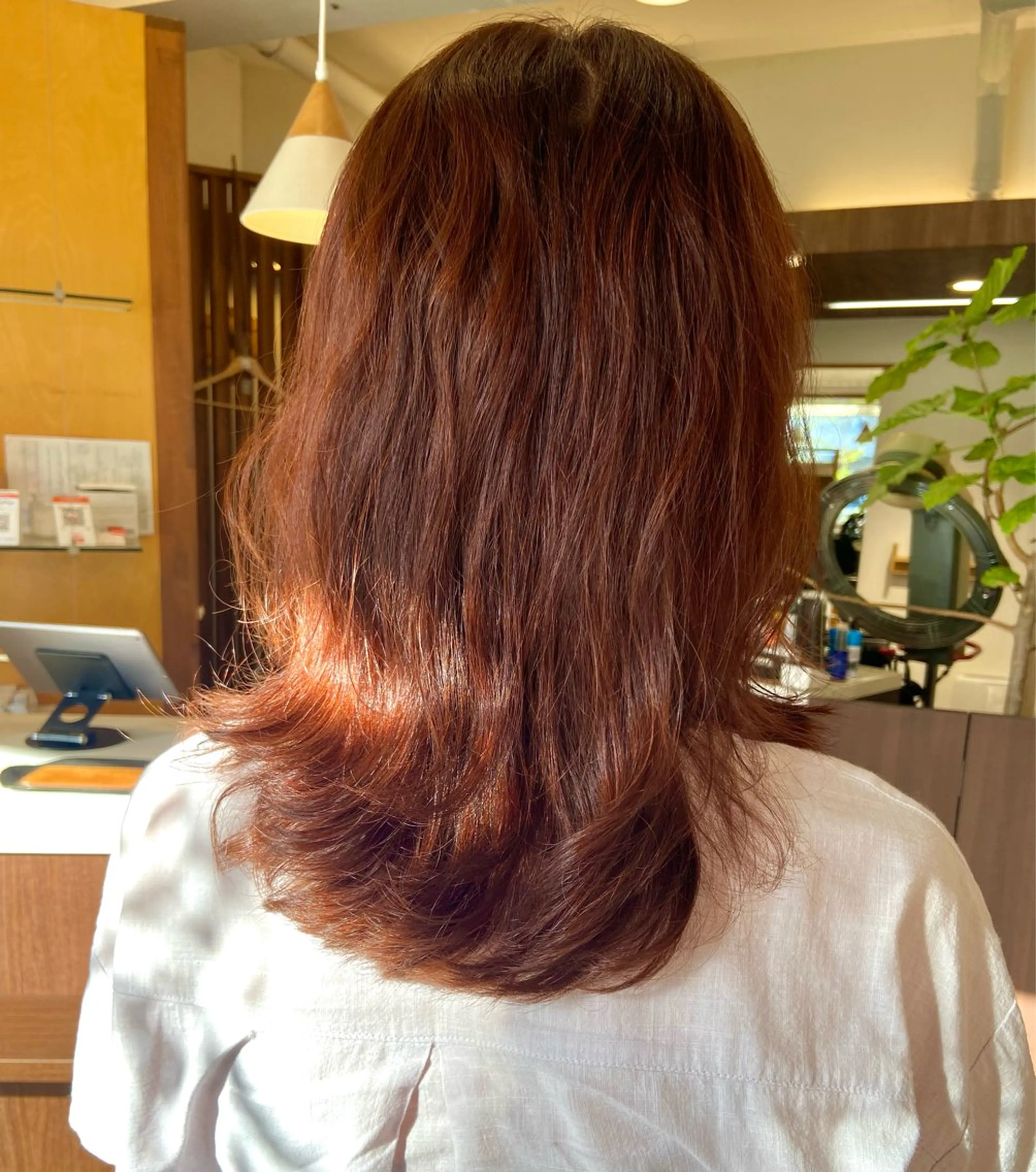 ミディアム カラー ピンクカラー niro 🌱カットモデル募集のヘアスタイル