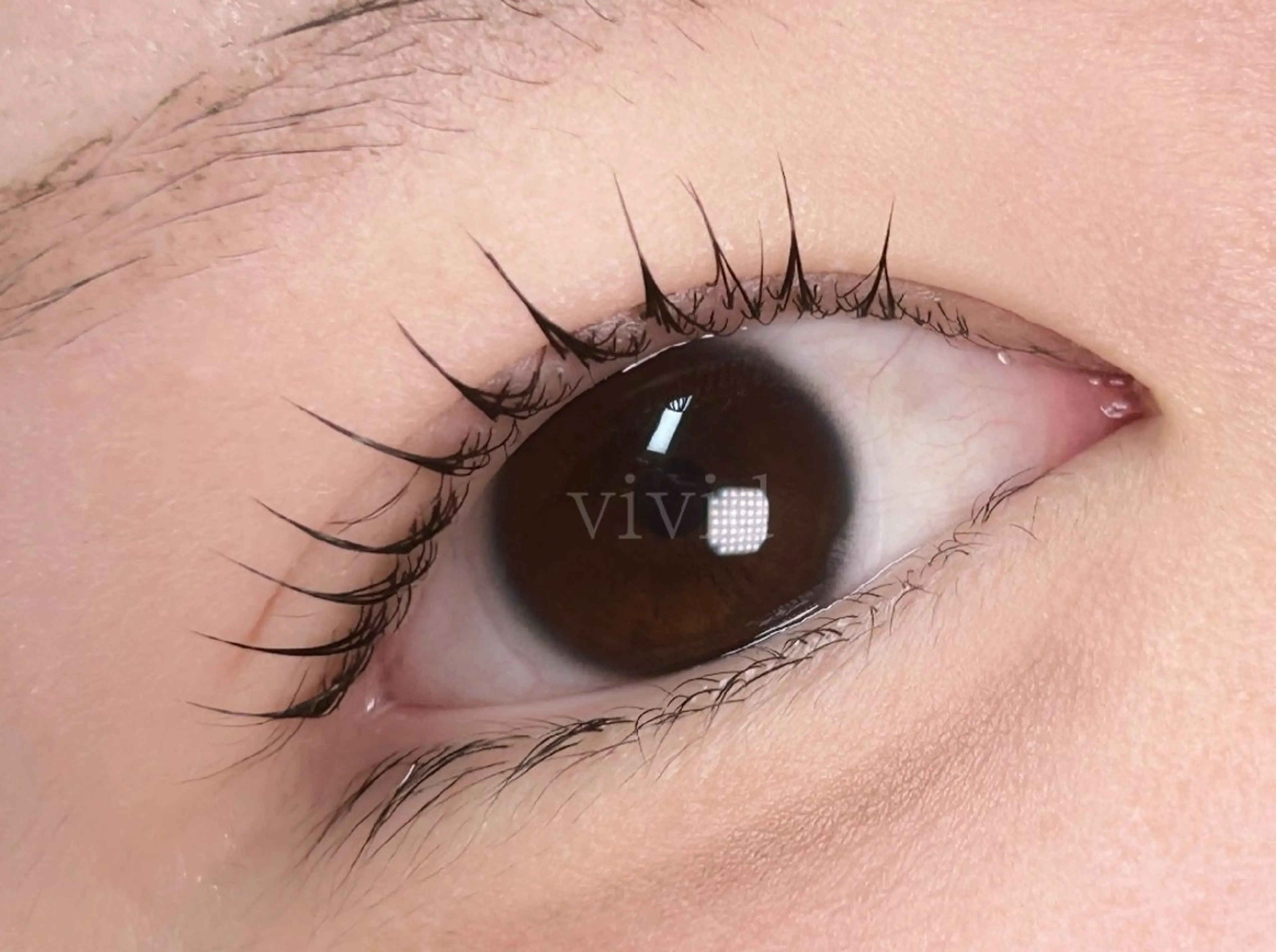 マツエク・マツパ vividビビッド 門前仲町店のマツエク・マツパデザイン