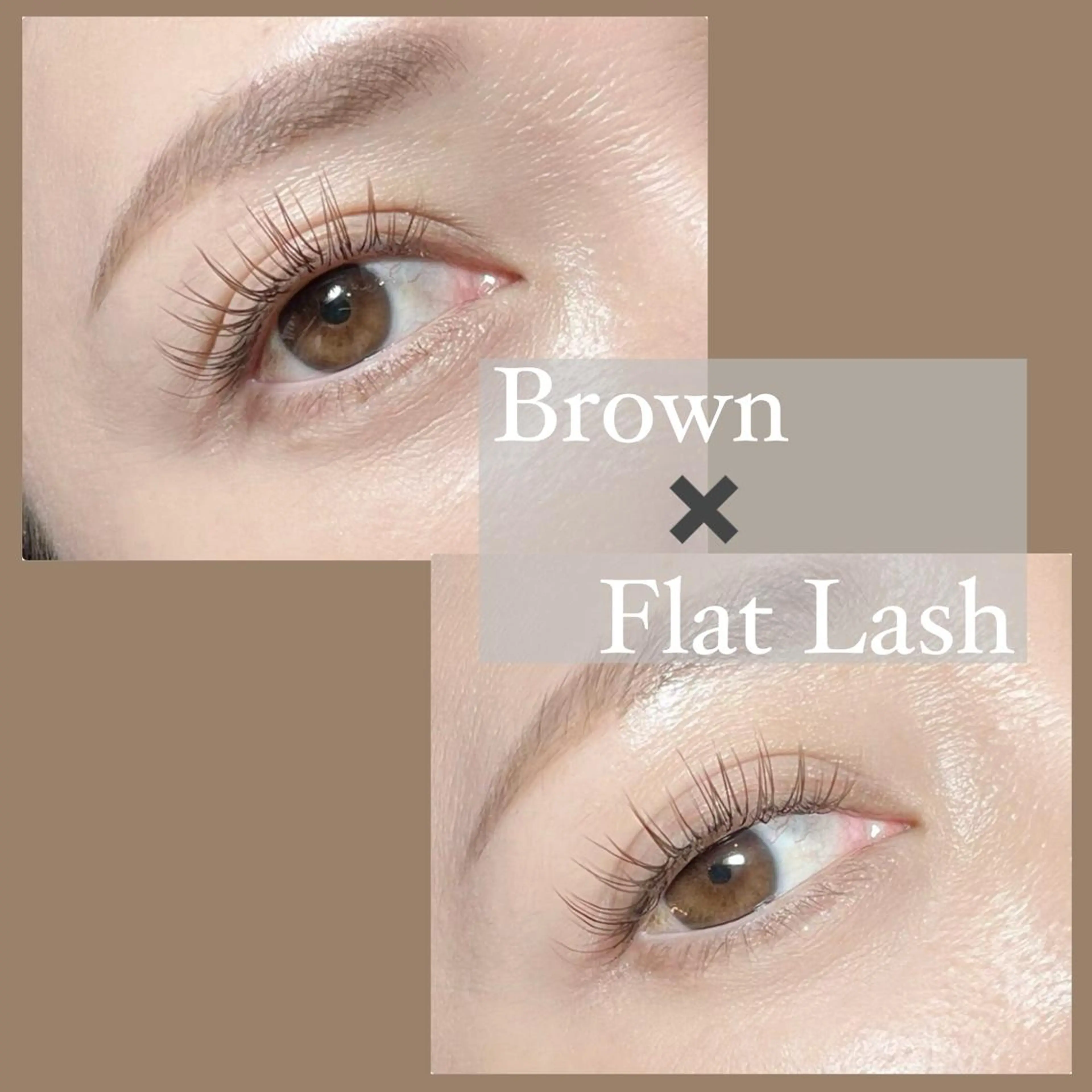 マツエク・マツパ chouchou. 橘のマツエク・マツパデザイン