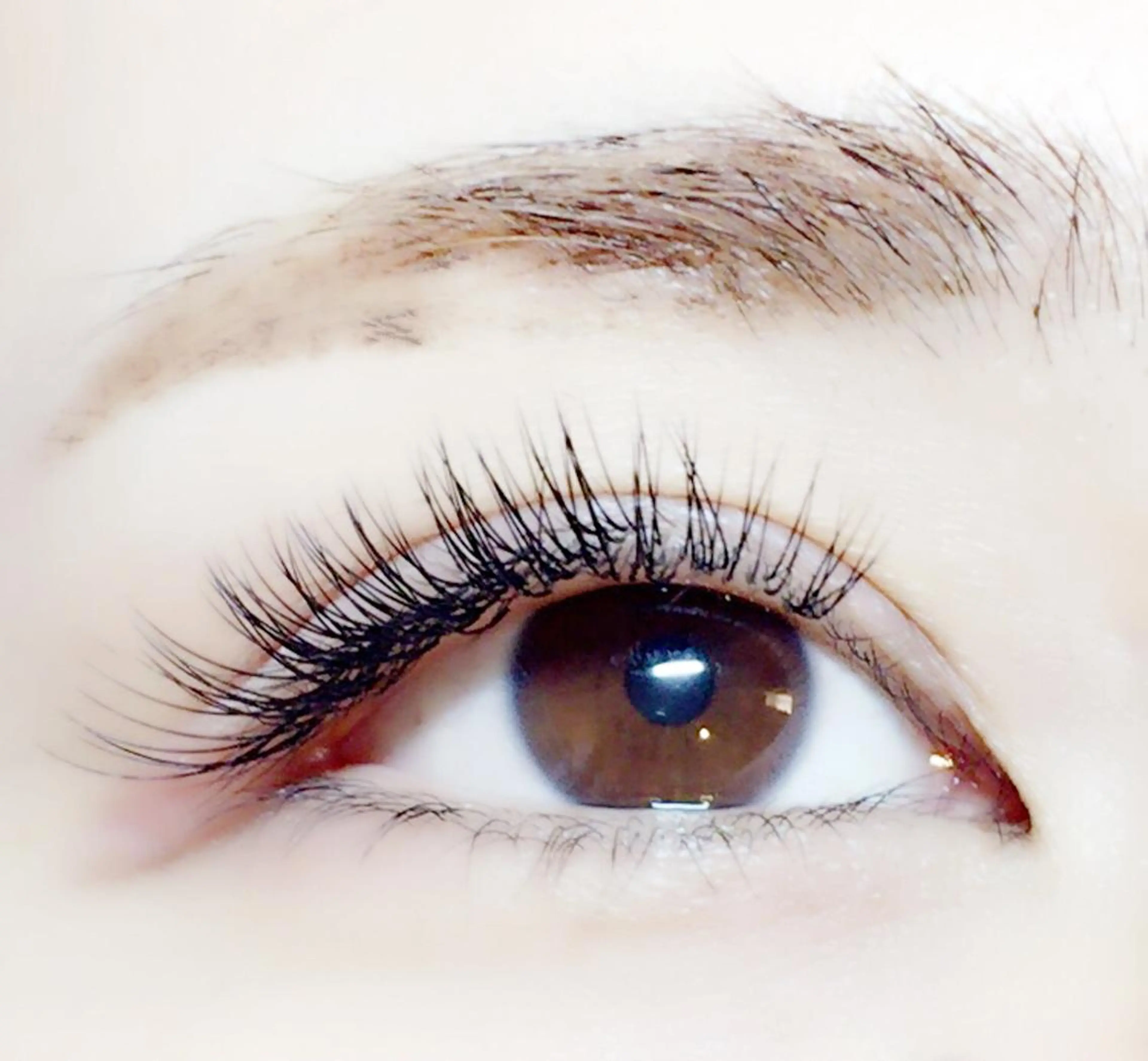 マツエク・マツパ 奥沢/自由が丘 Lien〈リアン〉のマツエク・マツパデザイン