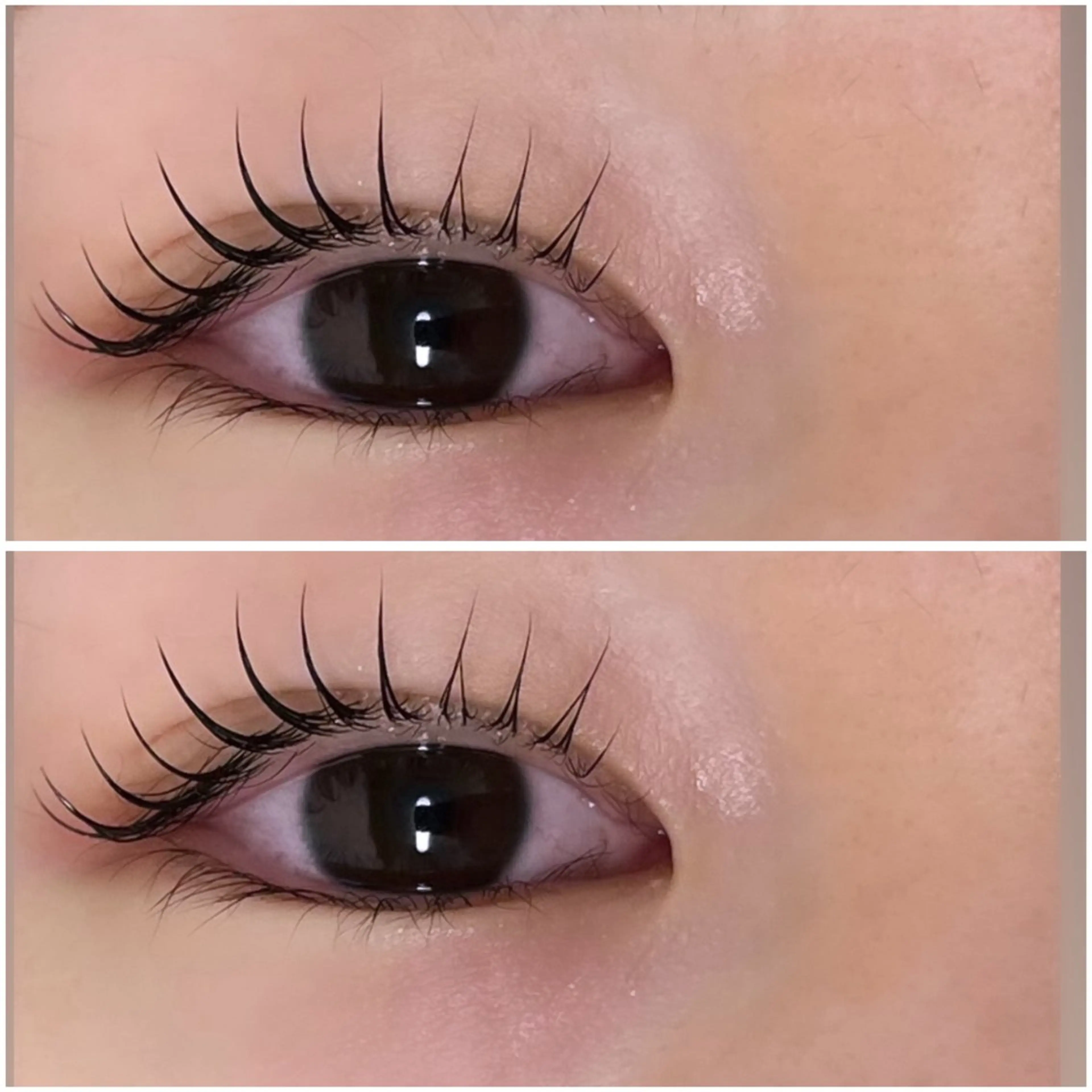 マツエク・マツパ カラー/アイリスト 麻優のヘアスタイル