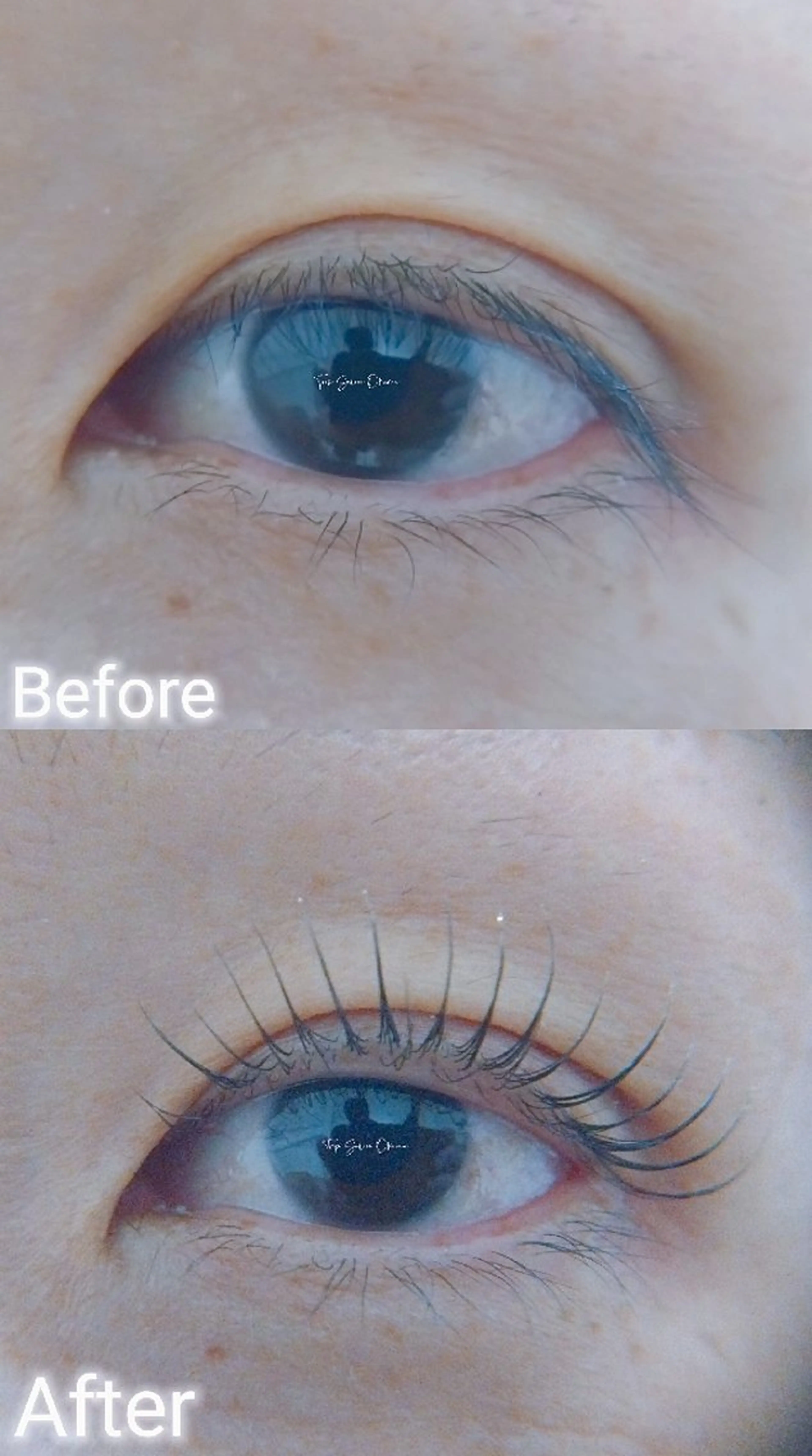 マツエク・マツパ マツパ ❤LEDまつぱ❤那覇 🅿️有、泉崎のマツエク・マツパデザイン