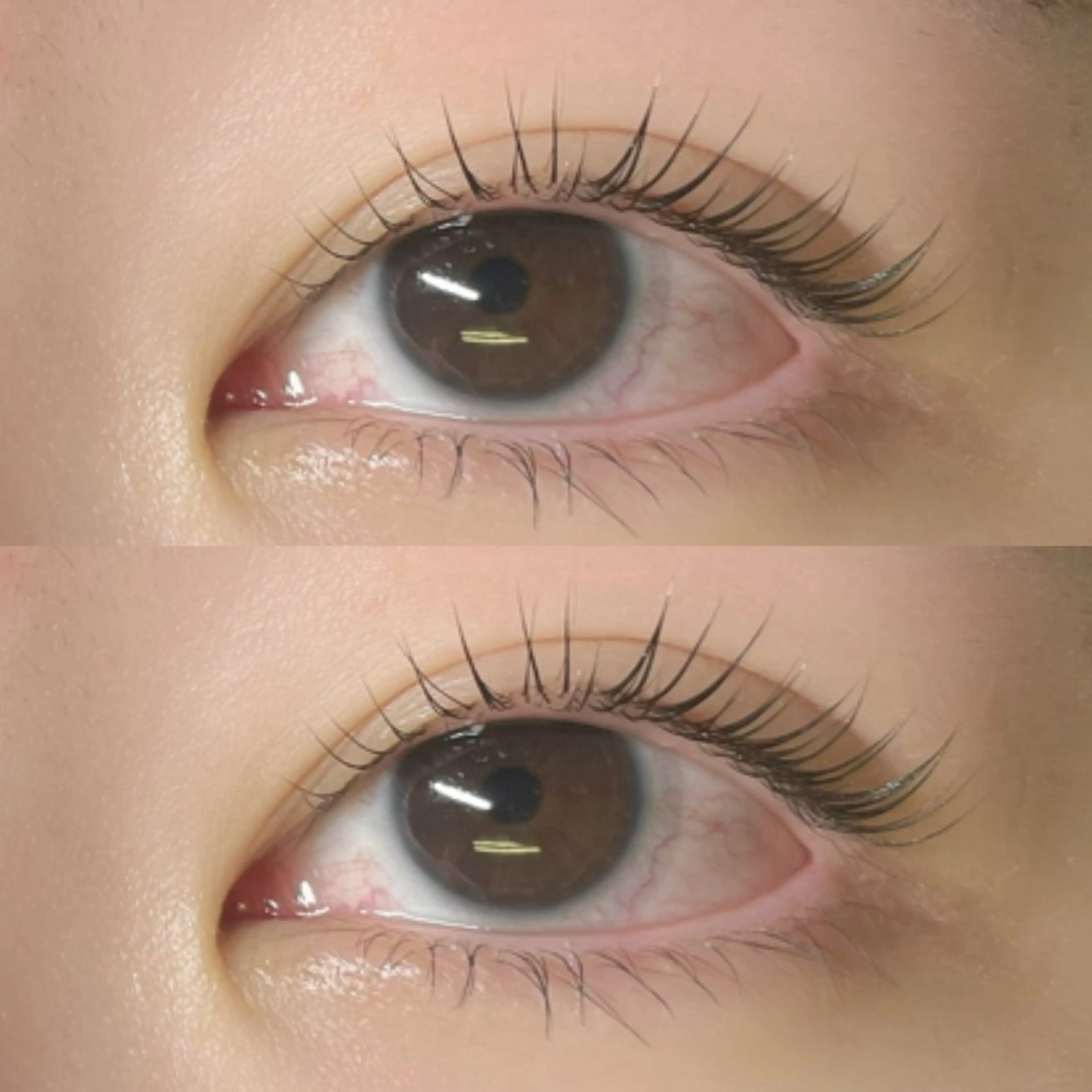 マツエク・マツパ マツパ リフュージュ🌷 カホのマツエク・マツパデザイン