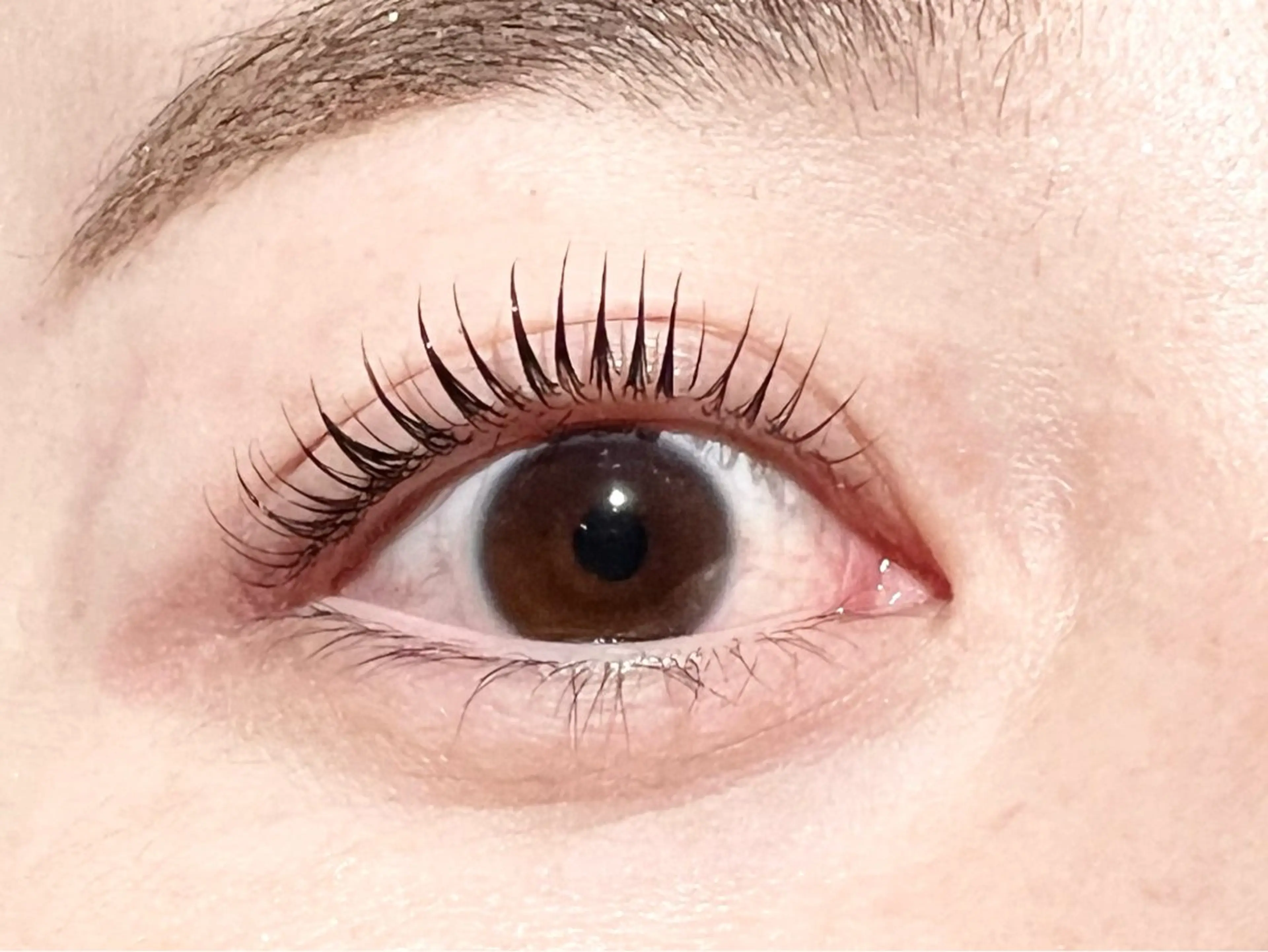 アッパーリフトカール🎀の写真