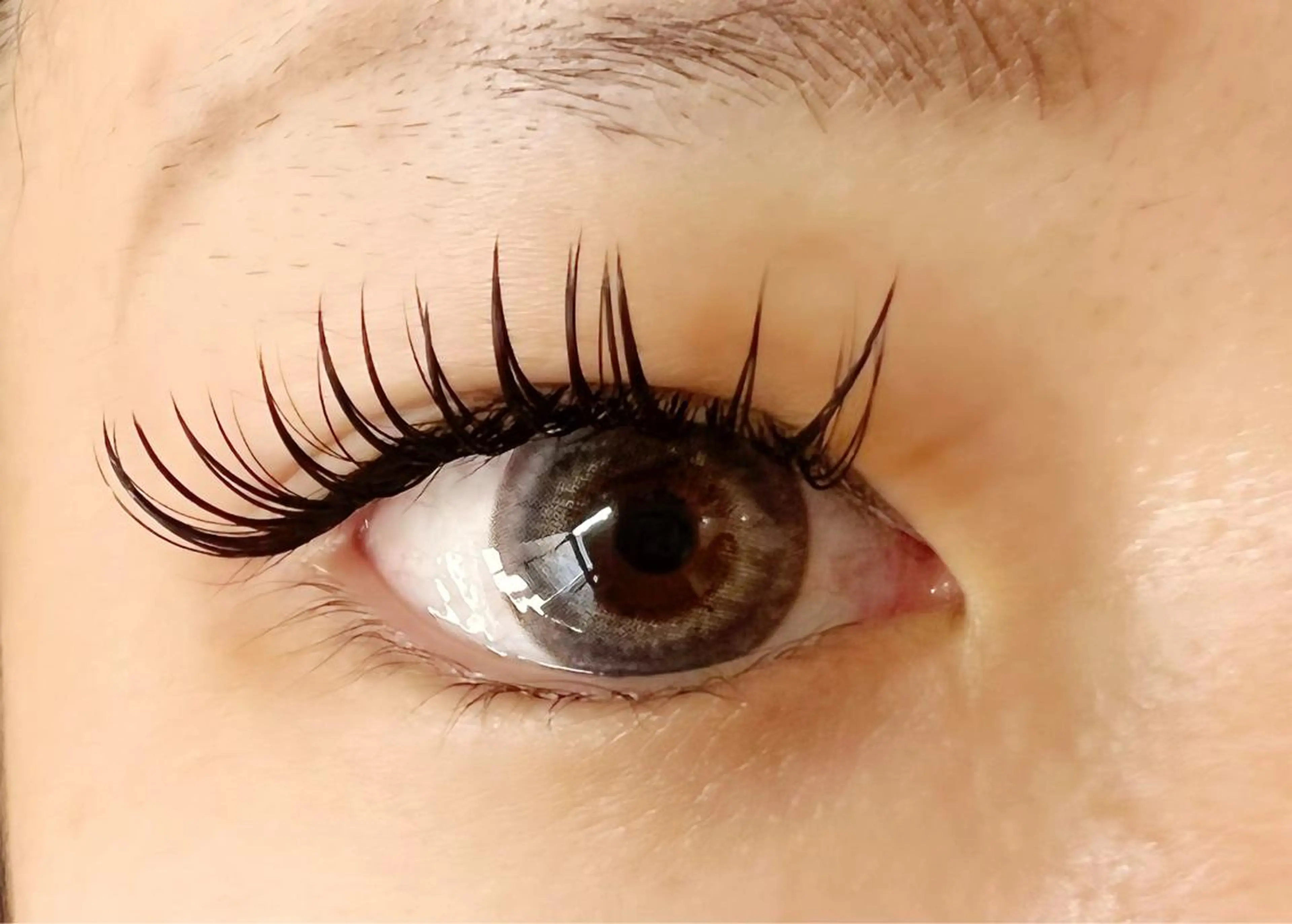 マツエク・マツパ 付け放題 バインドロック 🧸Celeste Venusのマツエク・マツパデザイン