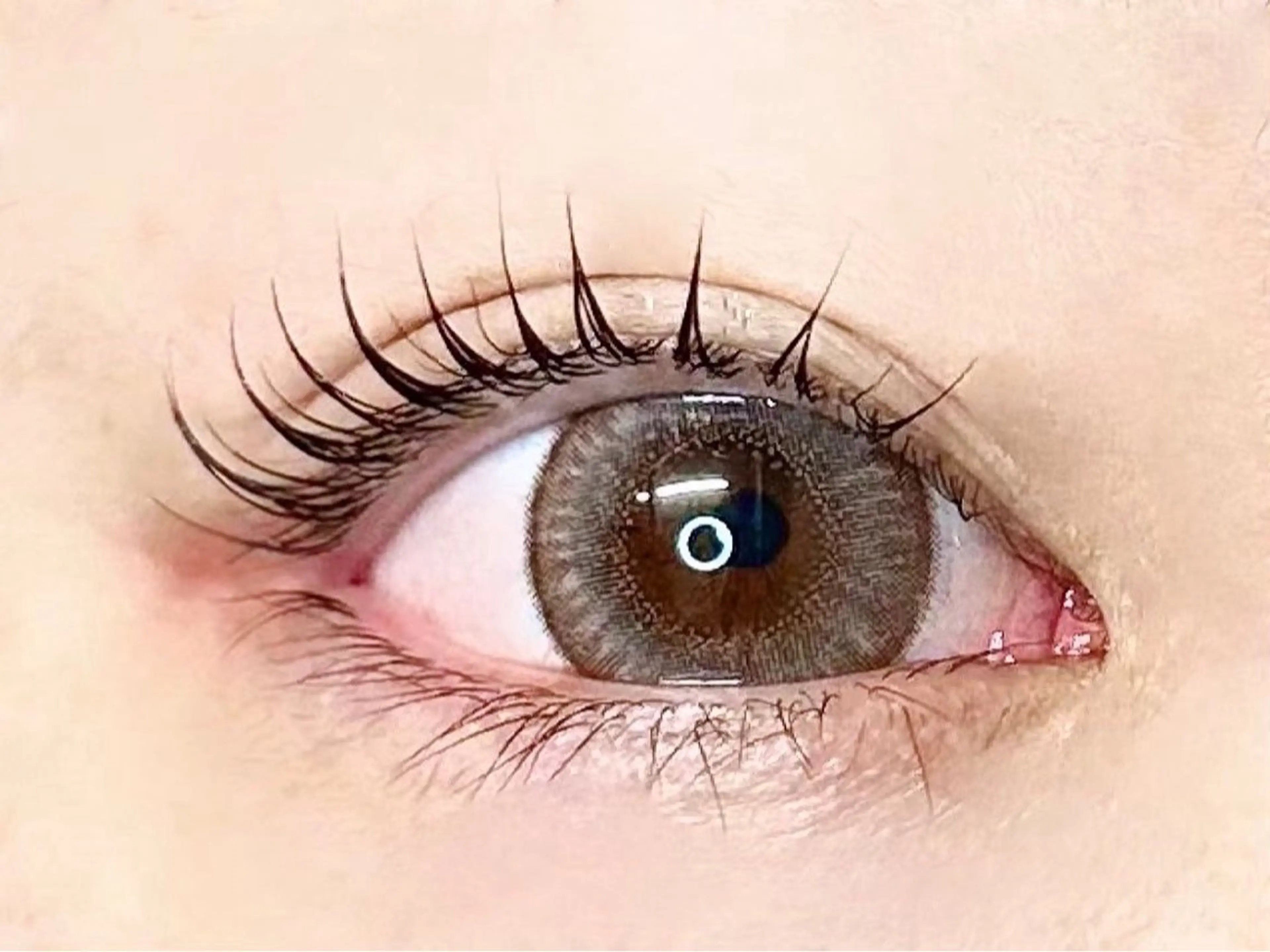 まつ毛パーマ➕高級コーティング🎀✨️の写真