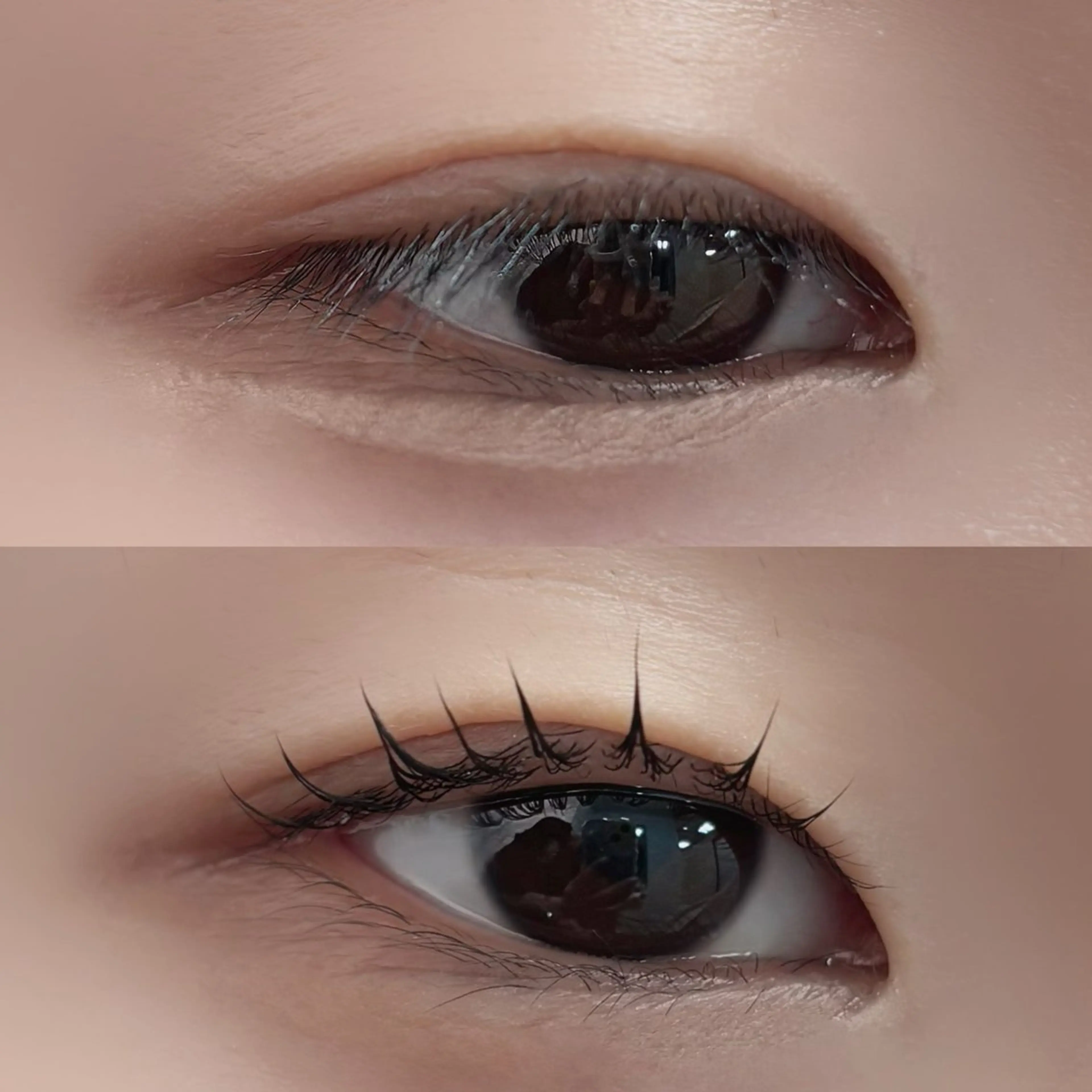 マツエク・マツパ マツパ 🏵️tico@ Risa🏵️のエステ・リラクイメージ