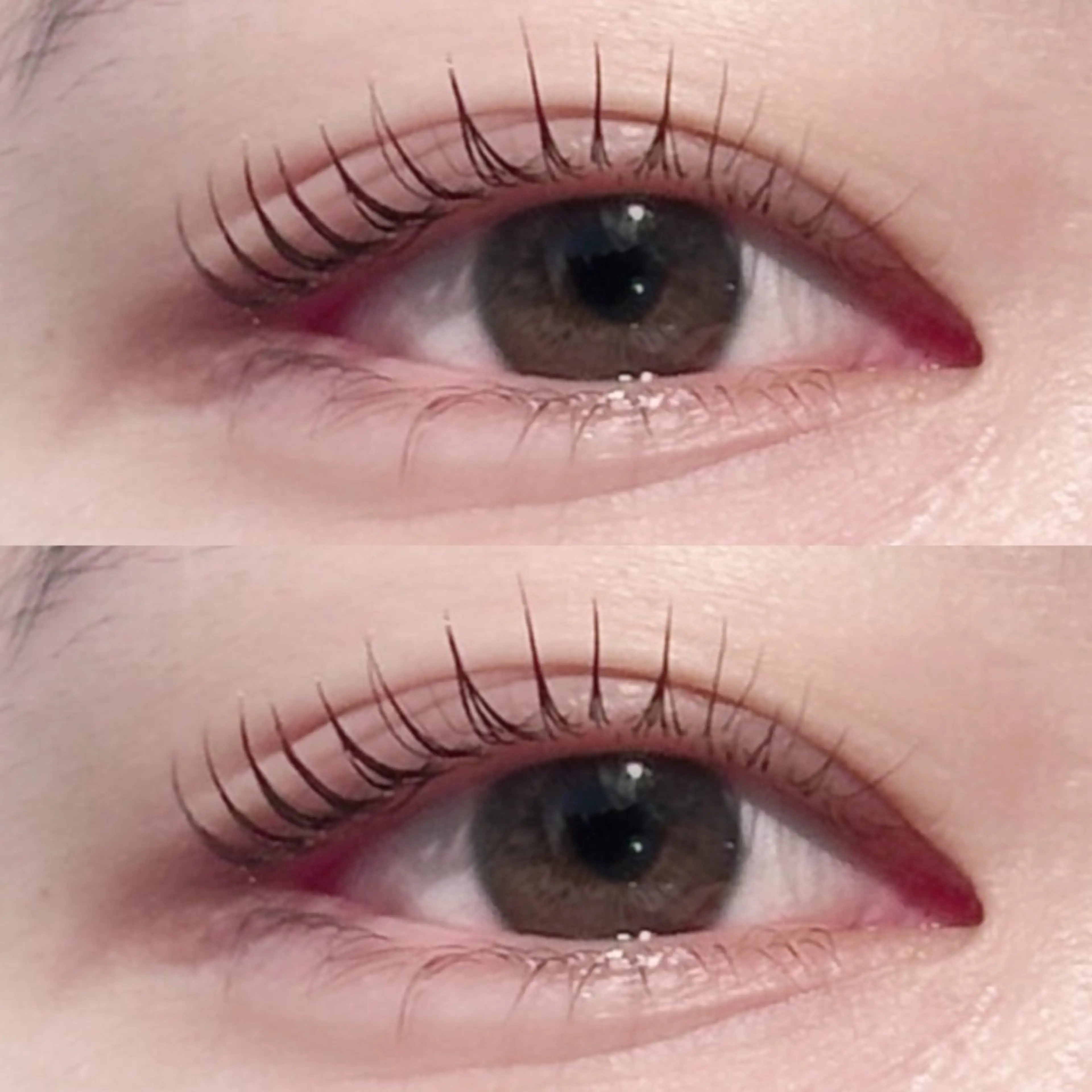 パリジェンヌ(上下)🩶の写真