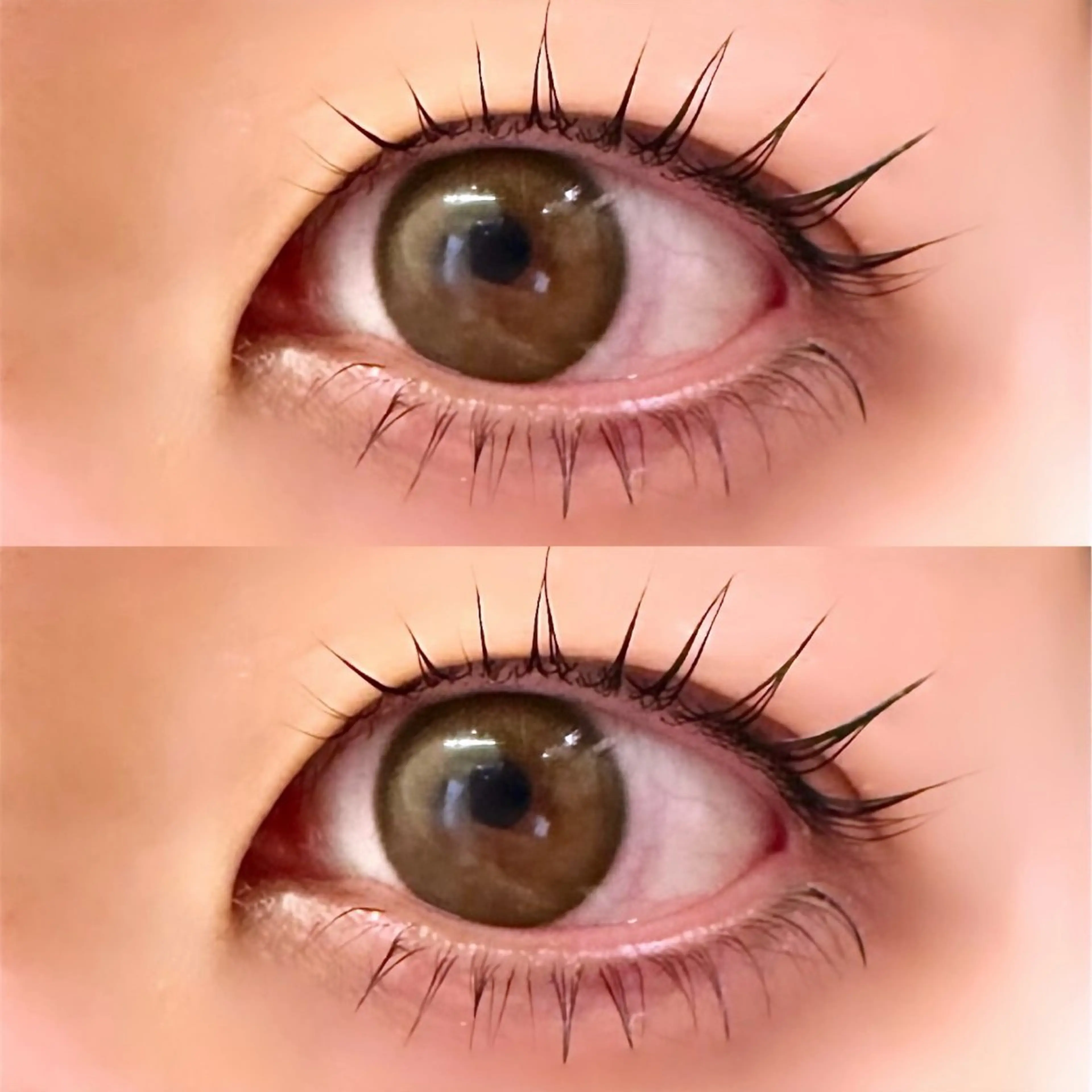 マツエク・マツパ 下まつげエクステ 一重×まつ毛パーマ arce -ｱﾙｾ- 🔅ヒマワリのマツエク・マツパデザイン