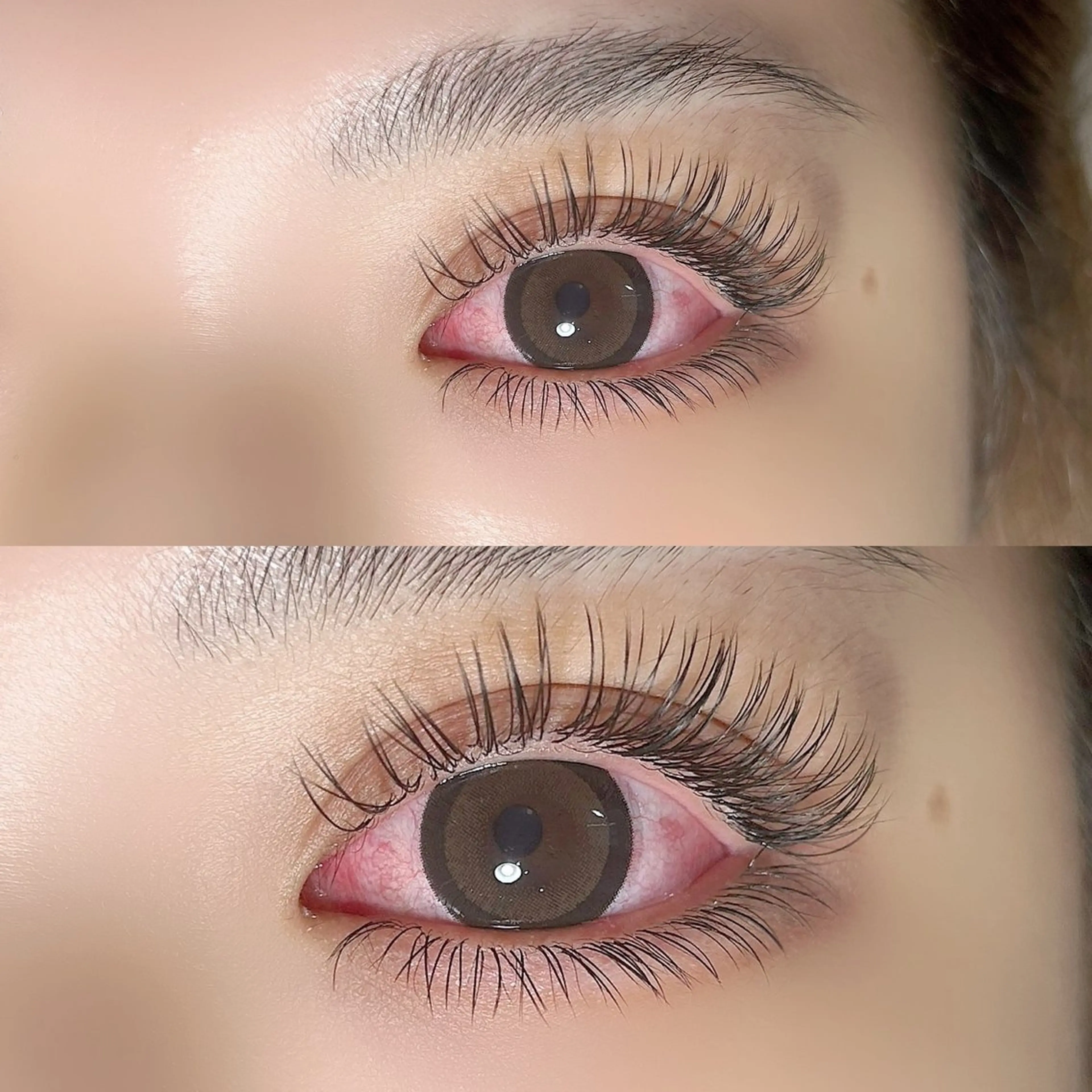 🦄フラットラッシュ上付け放題(上限無し)+下まつげエクステつけ放題の写真