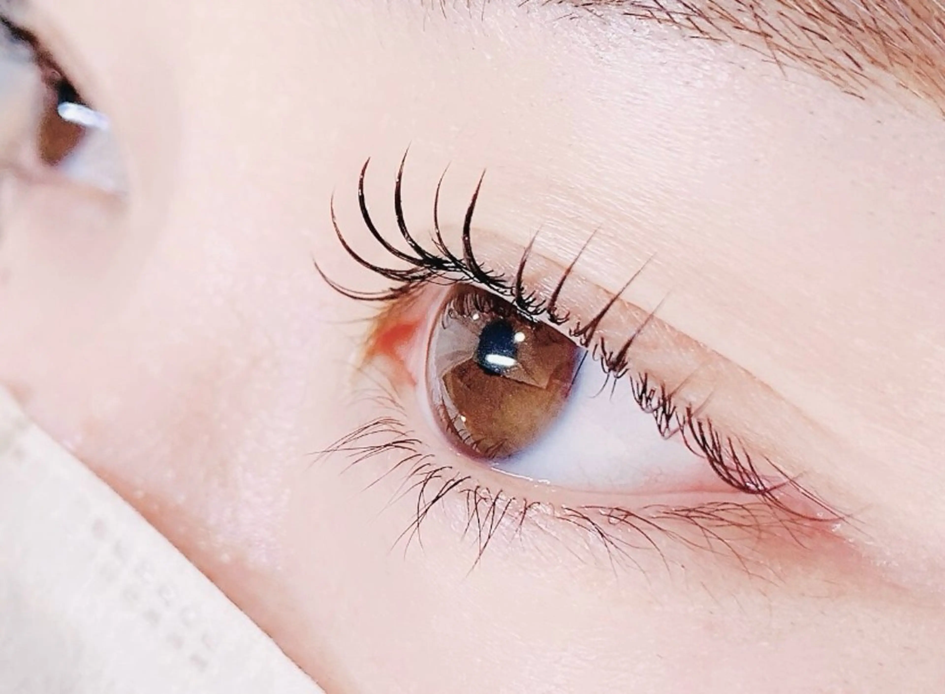 🌟まつげパーマ🌟 新しい薬剤での施術です。の写真