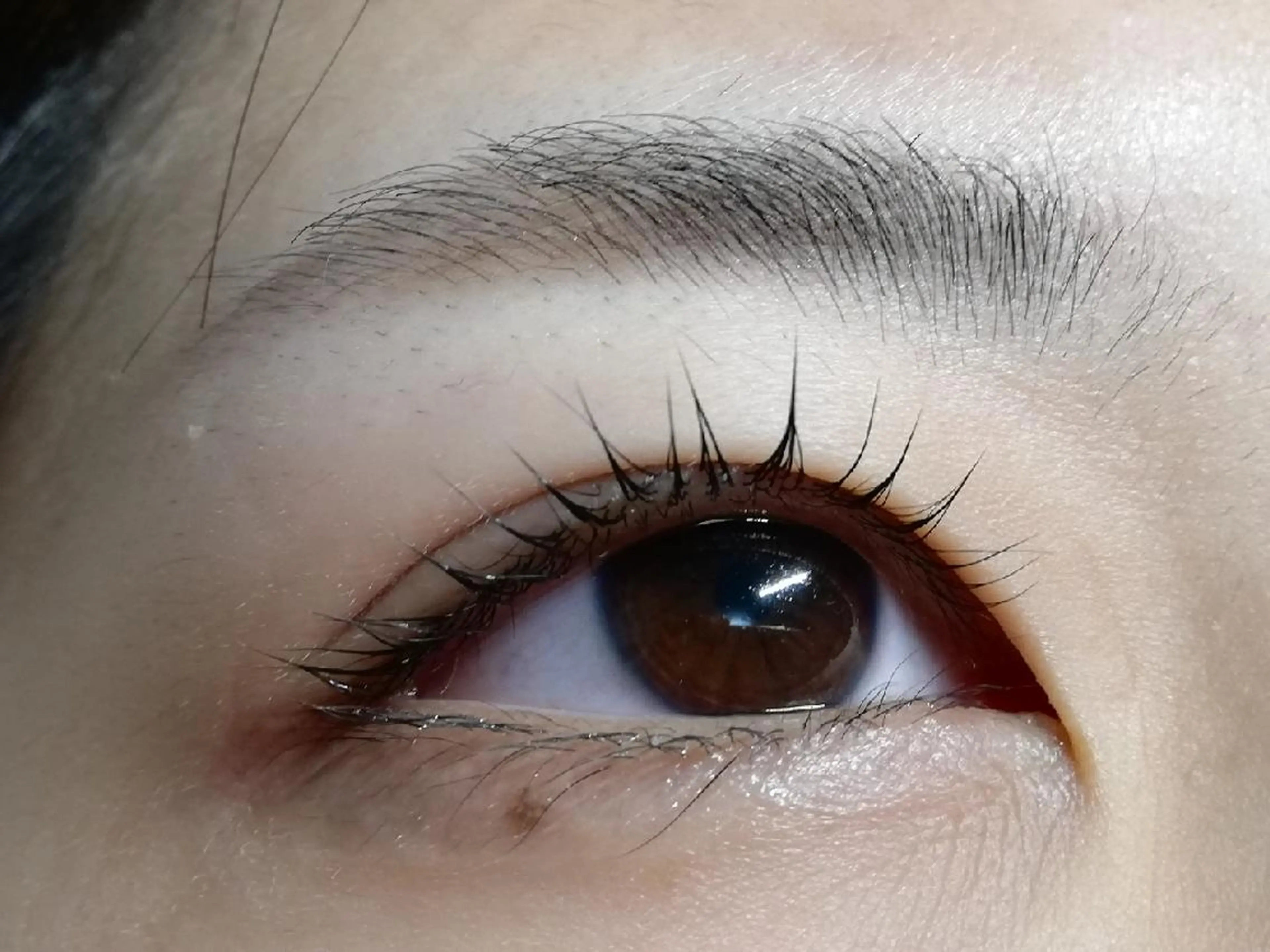 マツエク・マツパ angelux 所属・完全個室サロン🌹 angelux🌹のマツエク・マツパデザイン