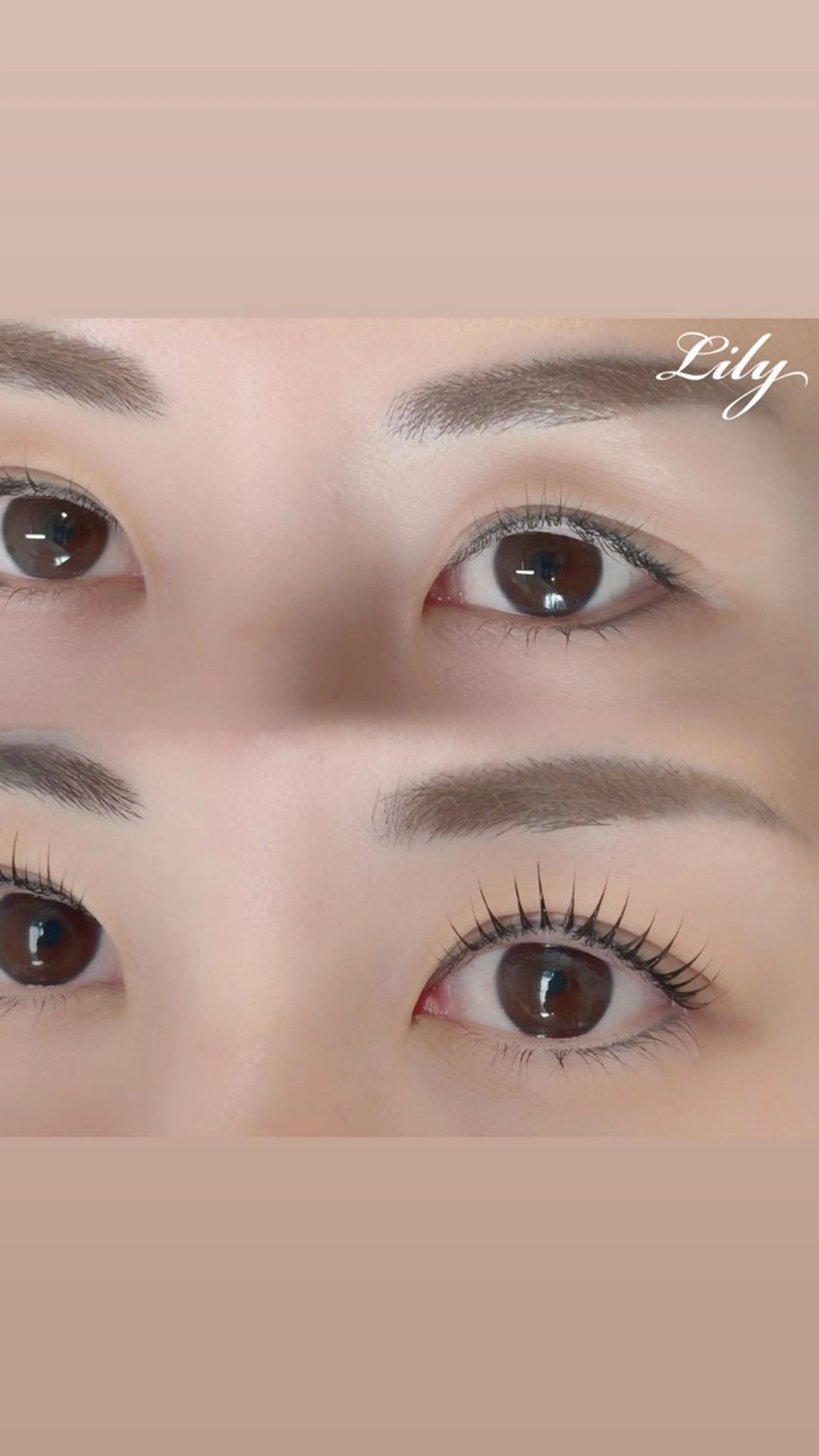 マツエク・マツパ Lily まつ毛専門店のマツエク・マツパデザイン