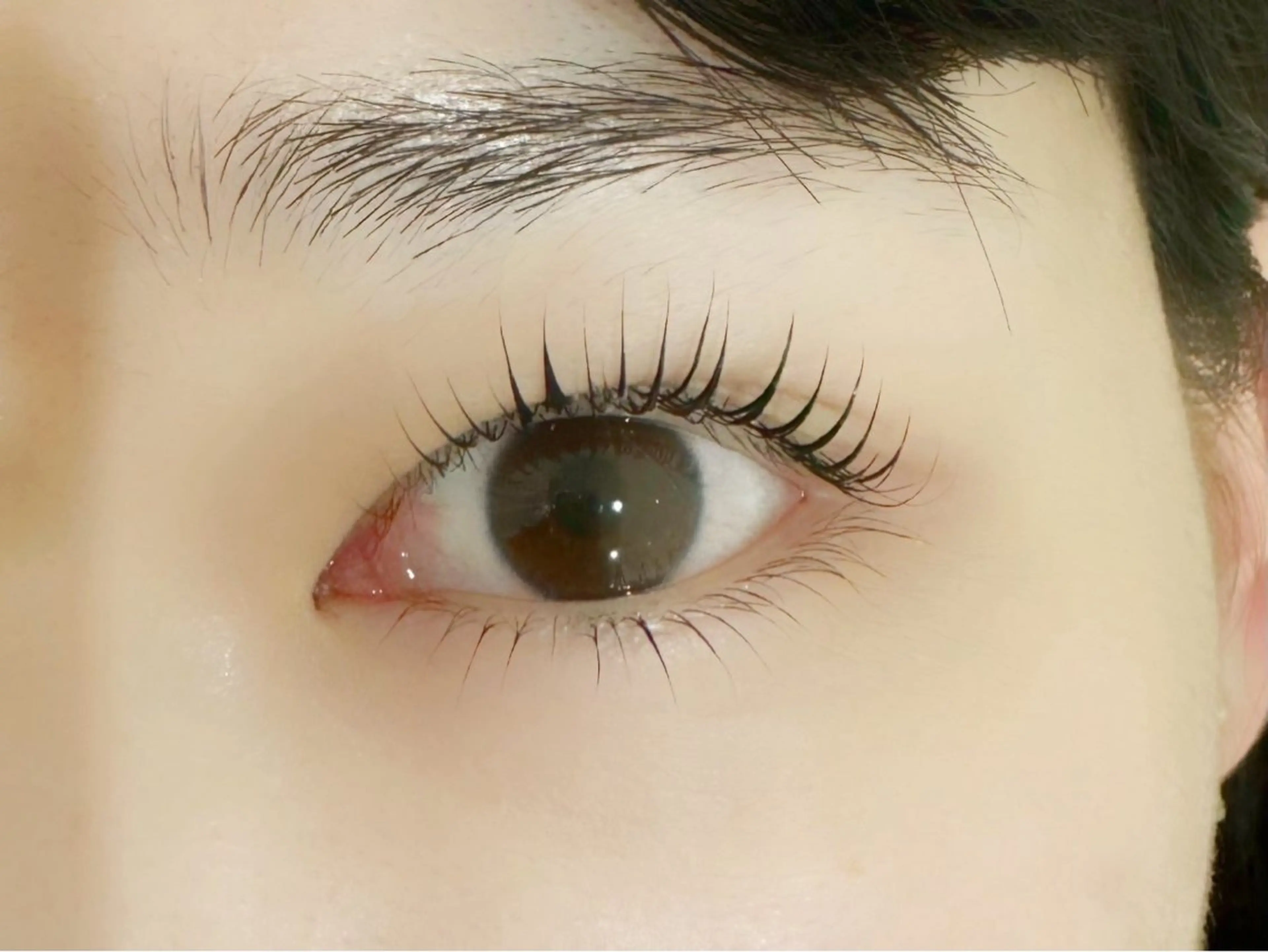 🇰🇷韓国風まつ毛パーマ🤍￥3960🫧の写真