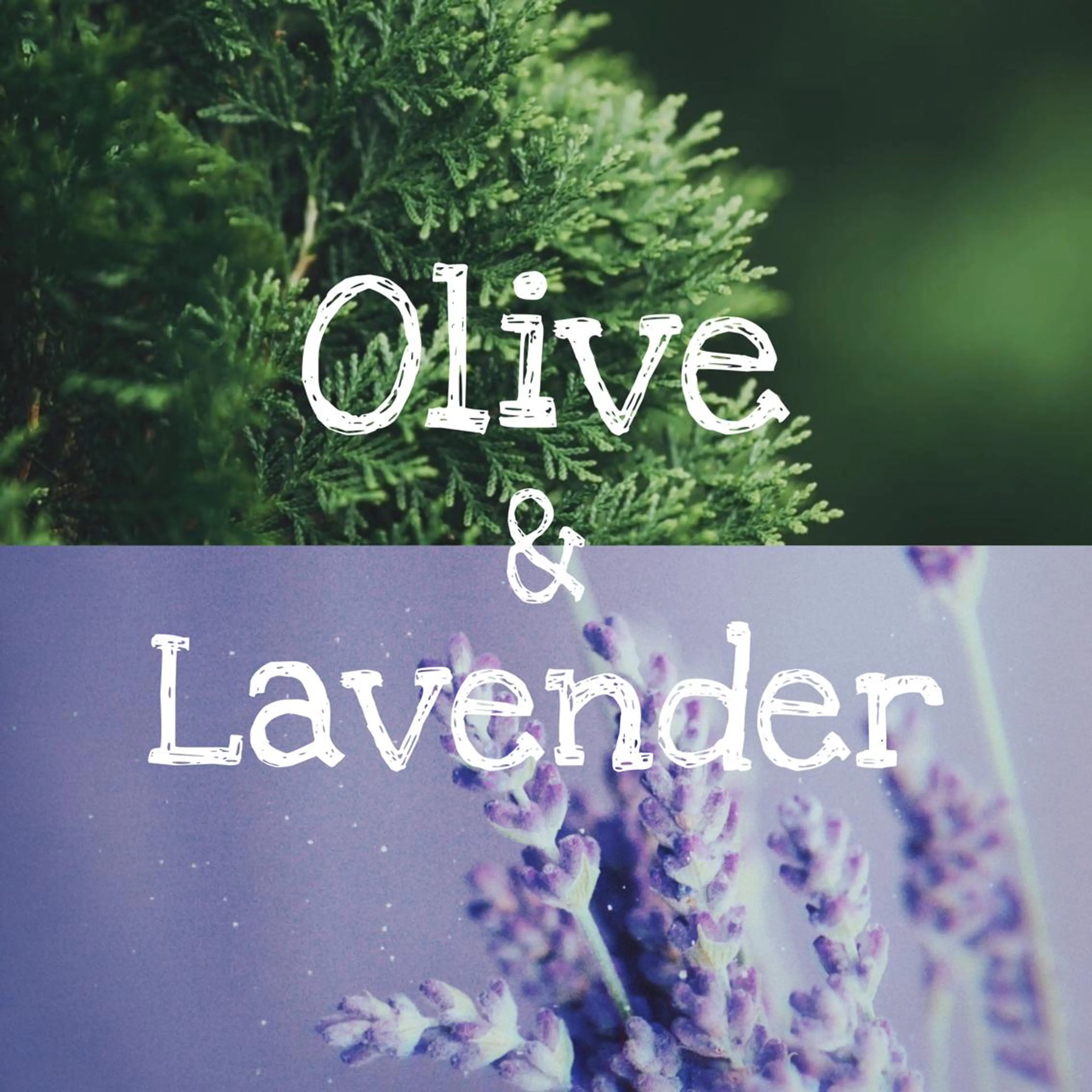 ミディアム 鈴木遥幾 艶髪特化美容師のヘアスタイル