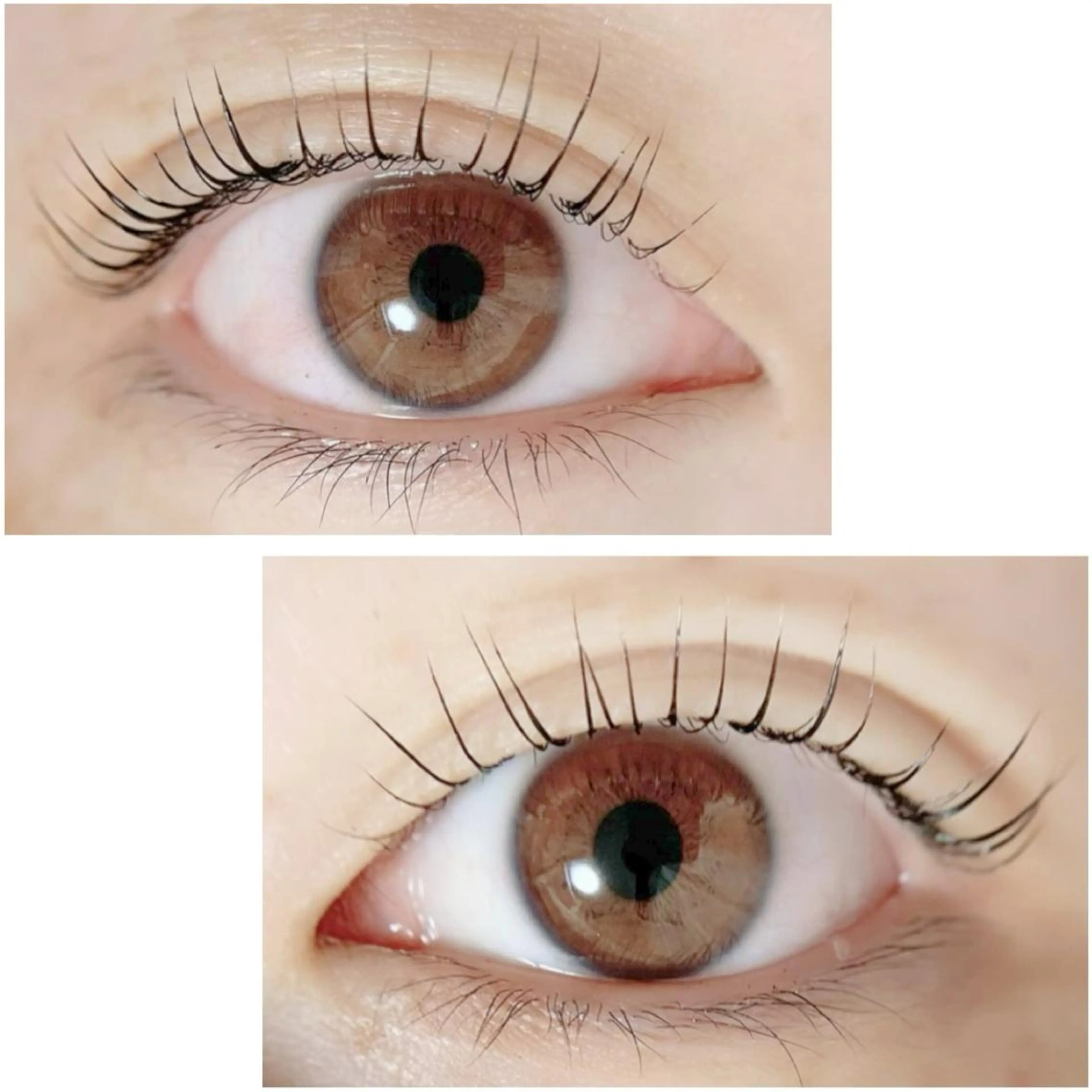 マツエク・マツパ Adorer 🍀アドレ🍀のマツエク・マツパデザイン