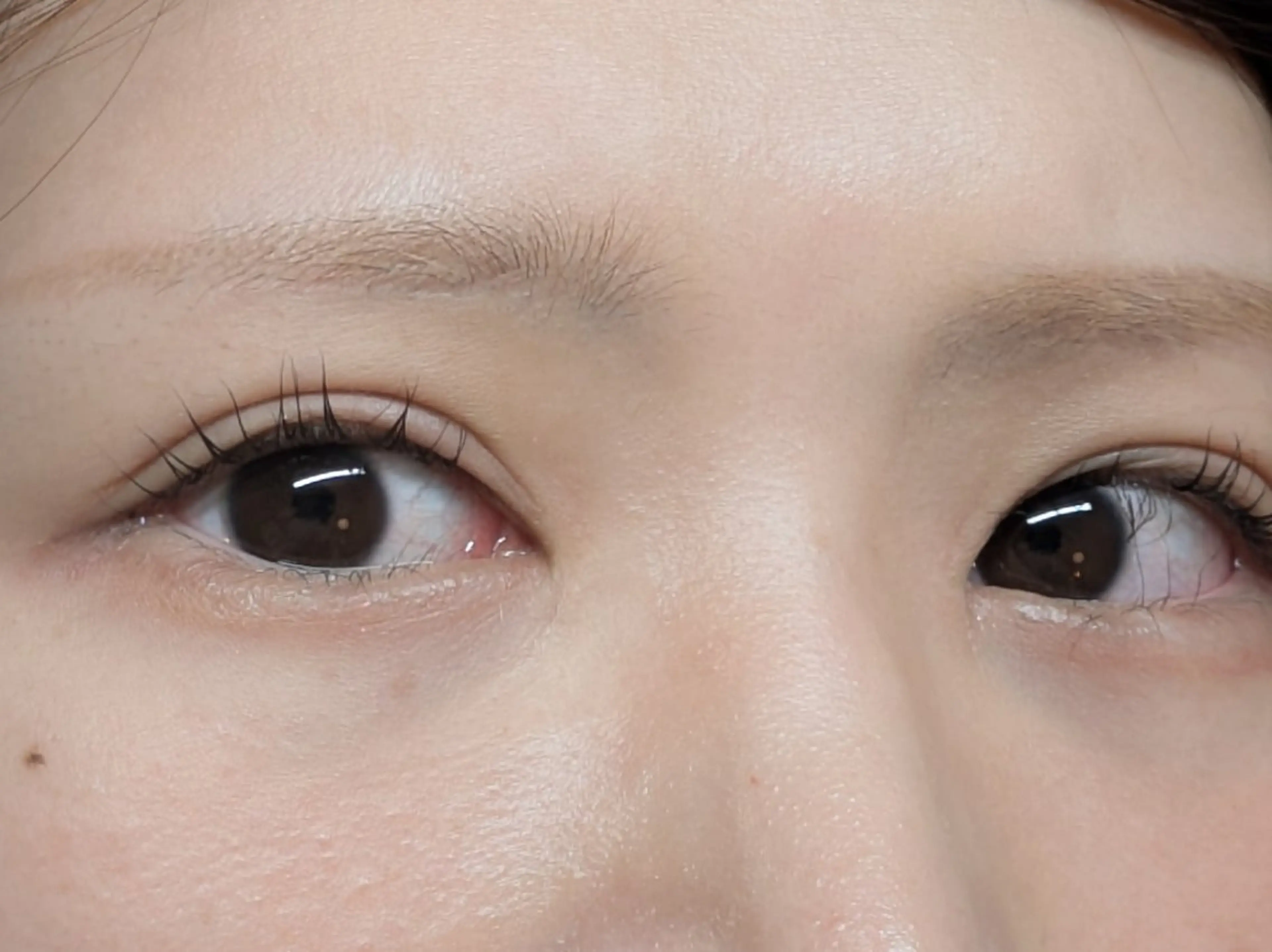 マツエク・マツパ まつげパーマ Sun Brown Ryu-gaのマツエク・マツパデザイン