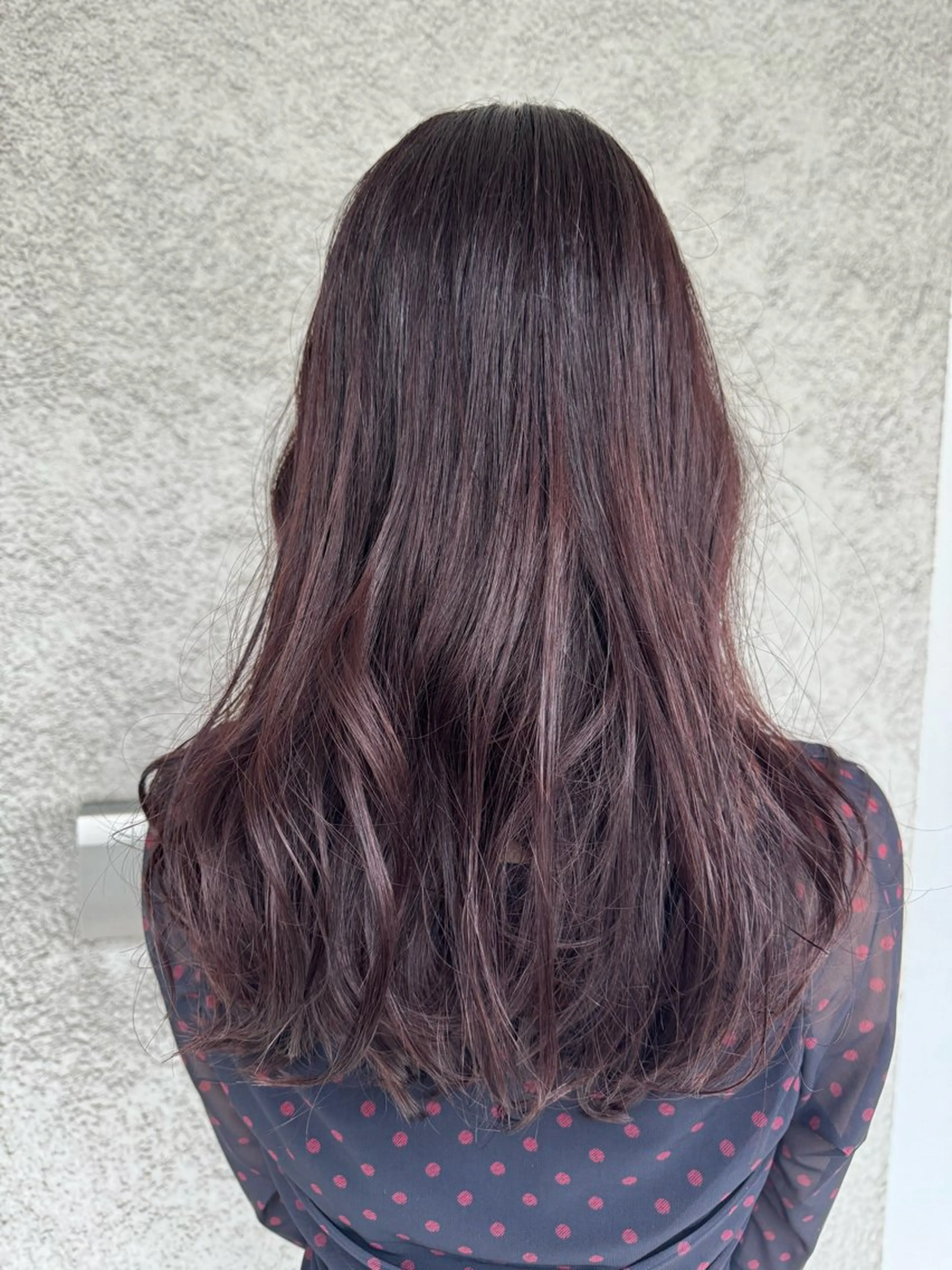 オンカラーの写真