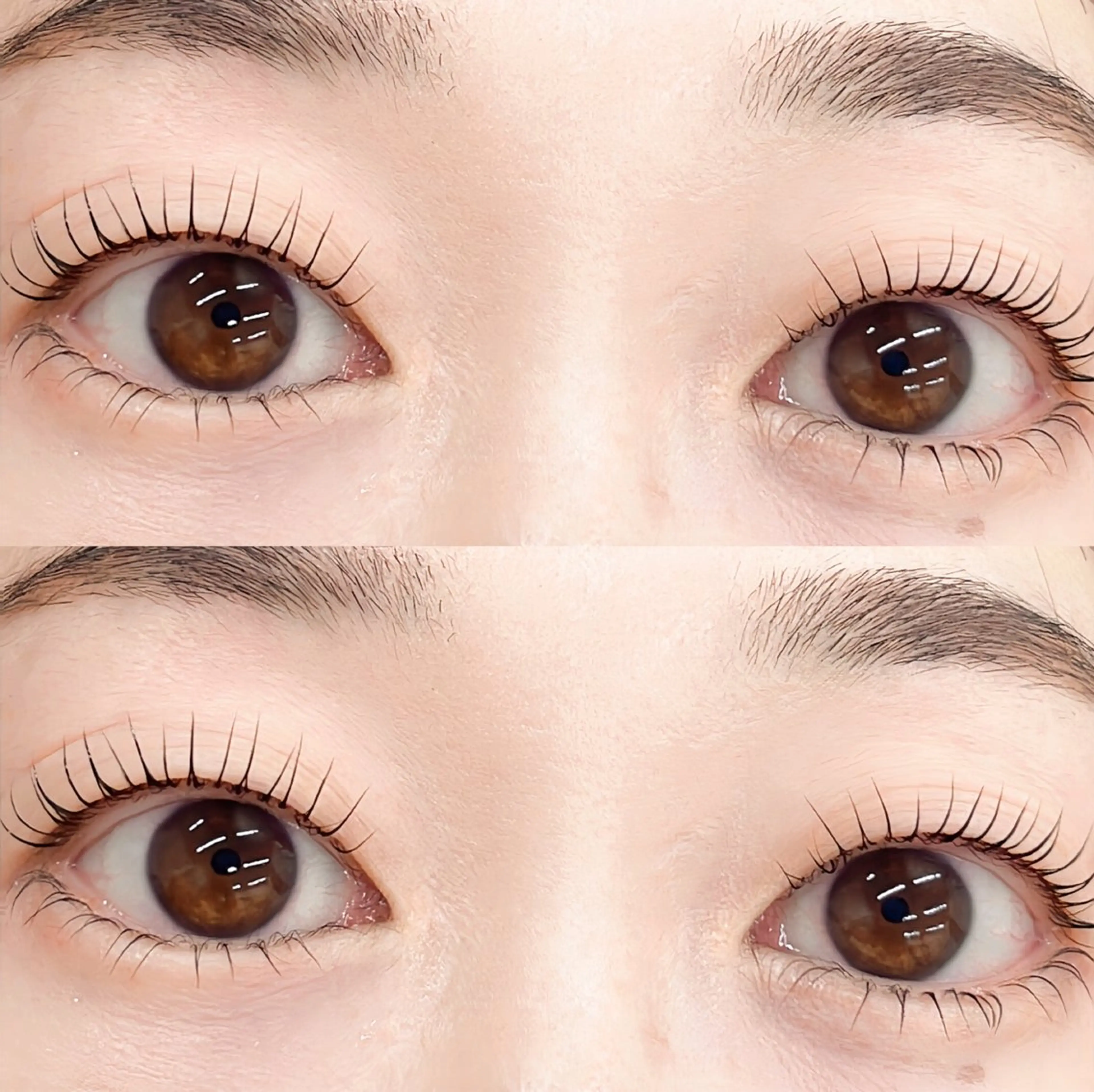 マツエク・マツパ LILY💖 yuinaの眉毛・アイブロウイメージ