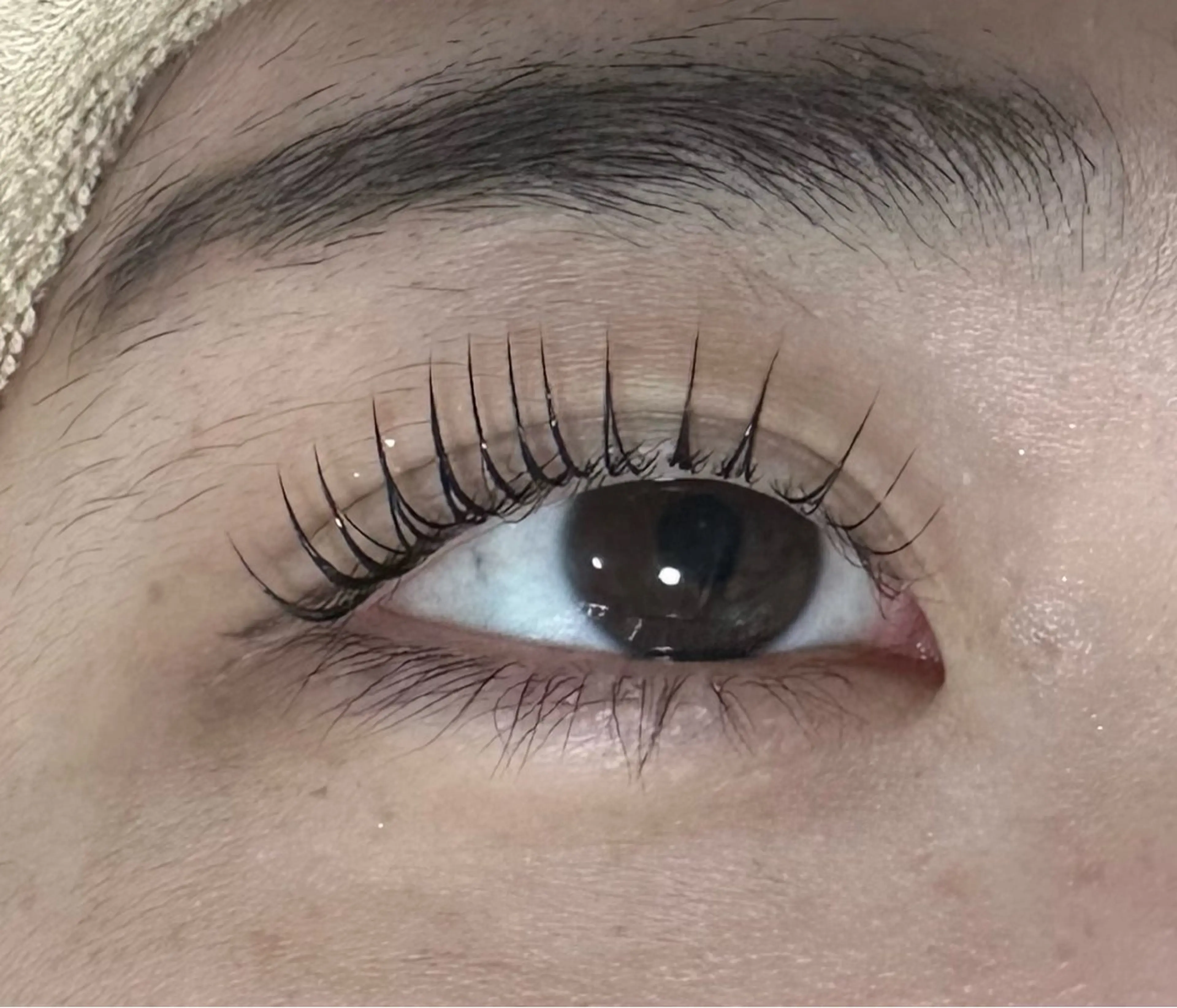 マツエク・マツパ マツパ マリーテレジア Fukushimaのマツエク・マツパデザイン