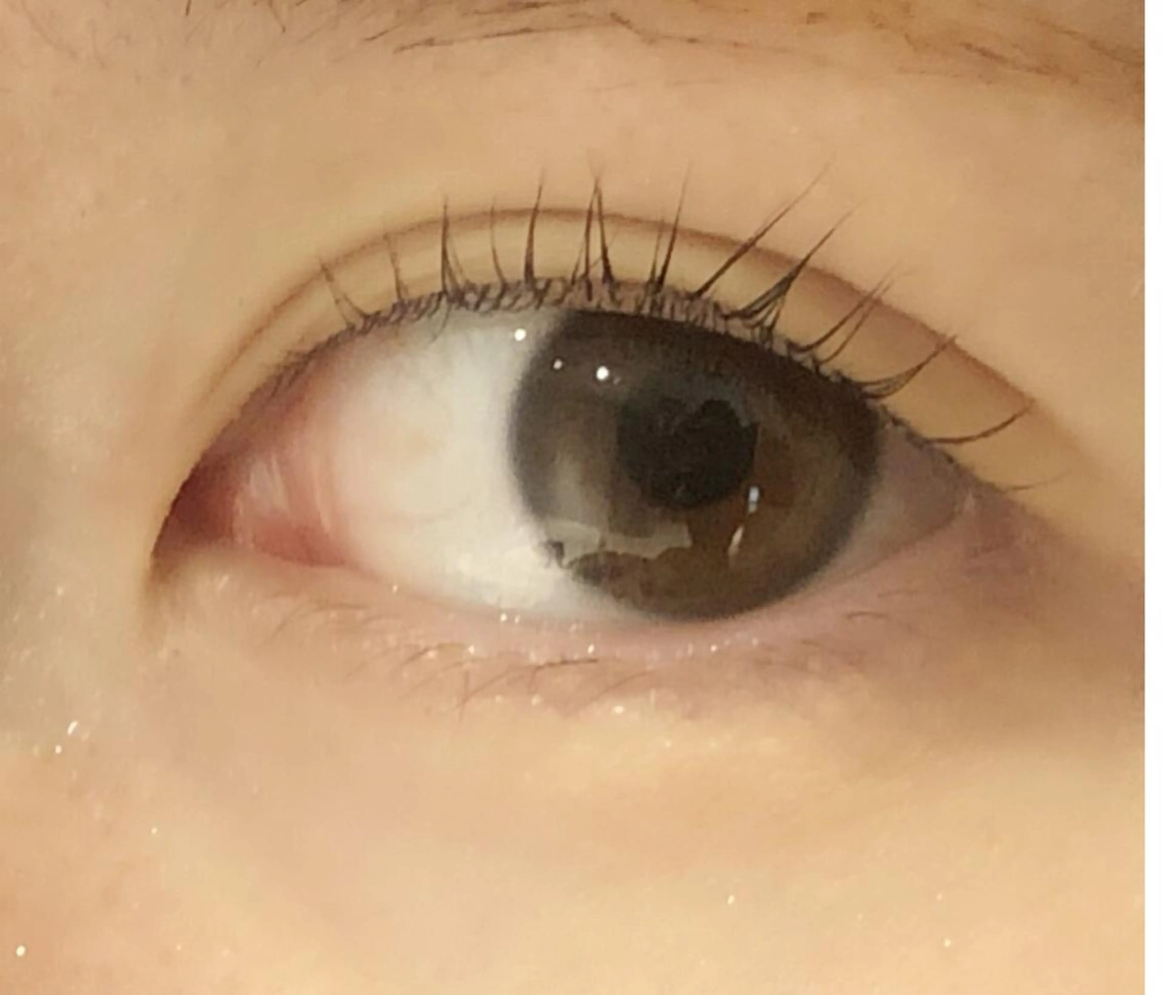 マツエク・マツパ レイ ⭐︎のマツエク・マツパデザイン