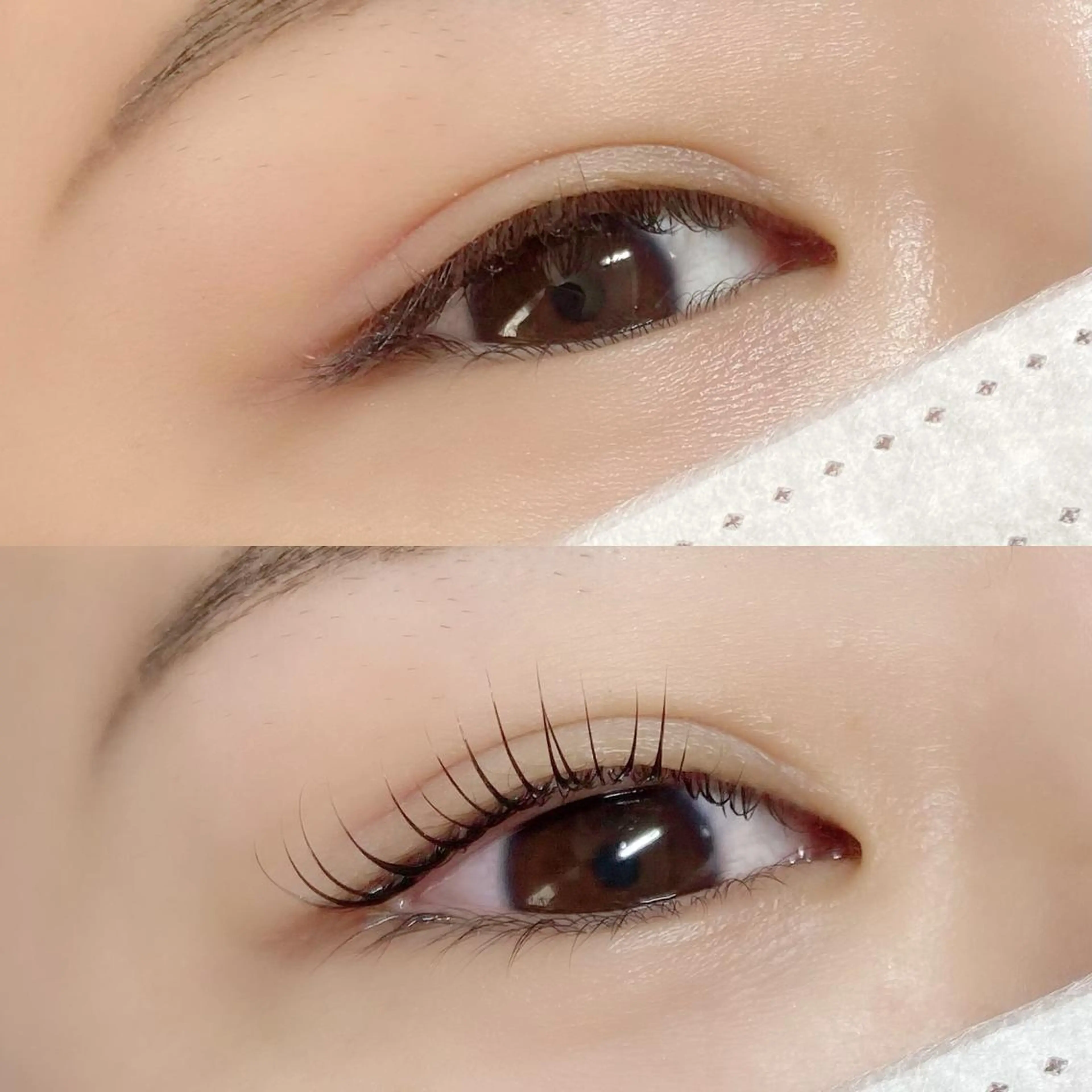 マツエク・マツパ CITRON ⭐︎のマツエク・マツパデザイン