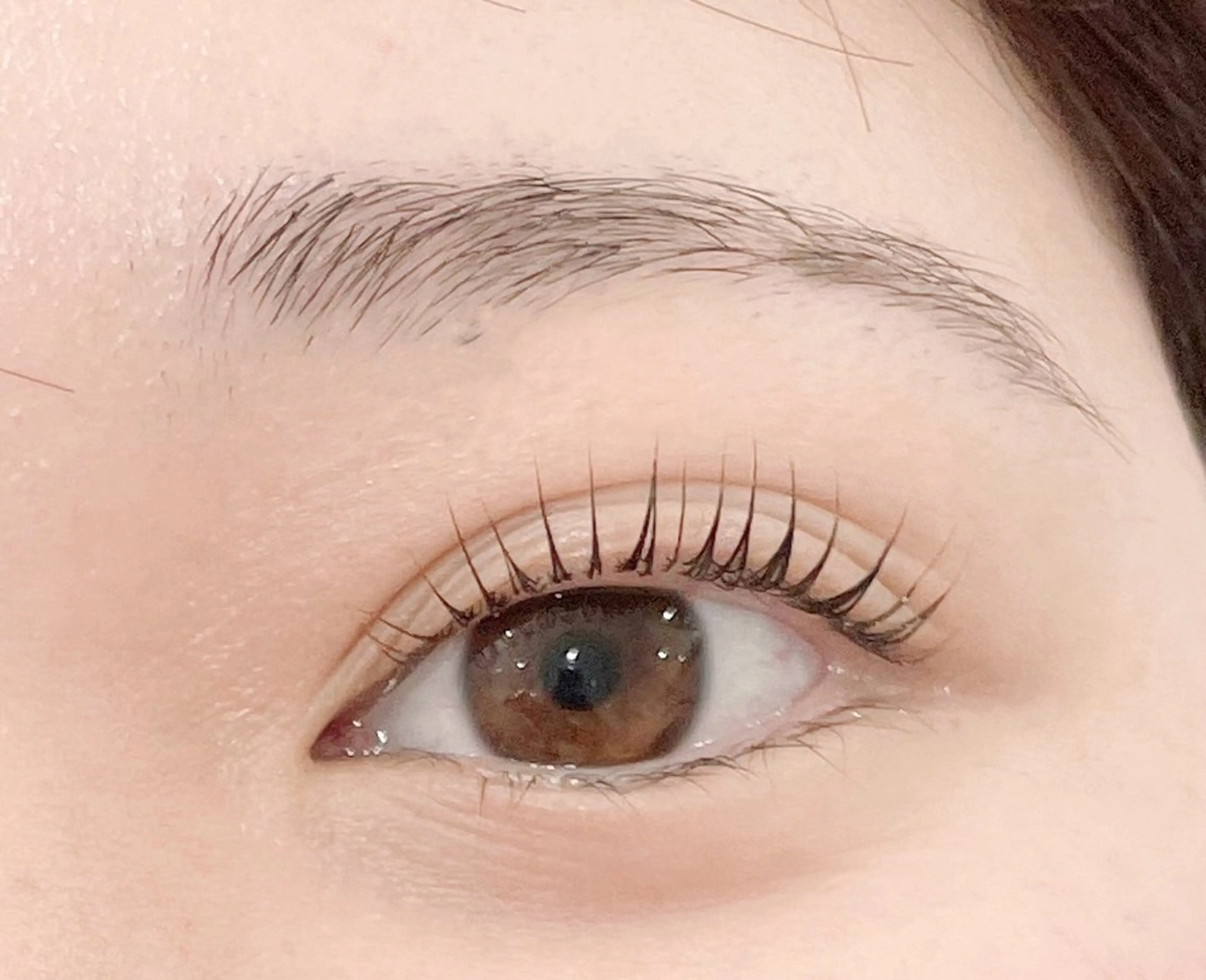 ご新規様限定♥パリジェンヌラッシュリフト+トリートメント【土日祝➕500円】の写真