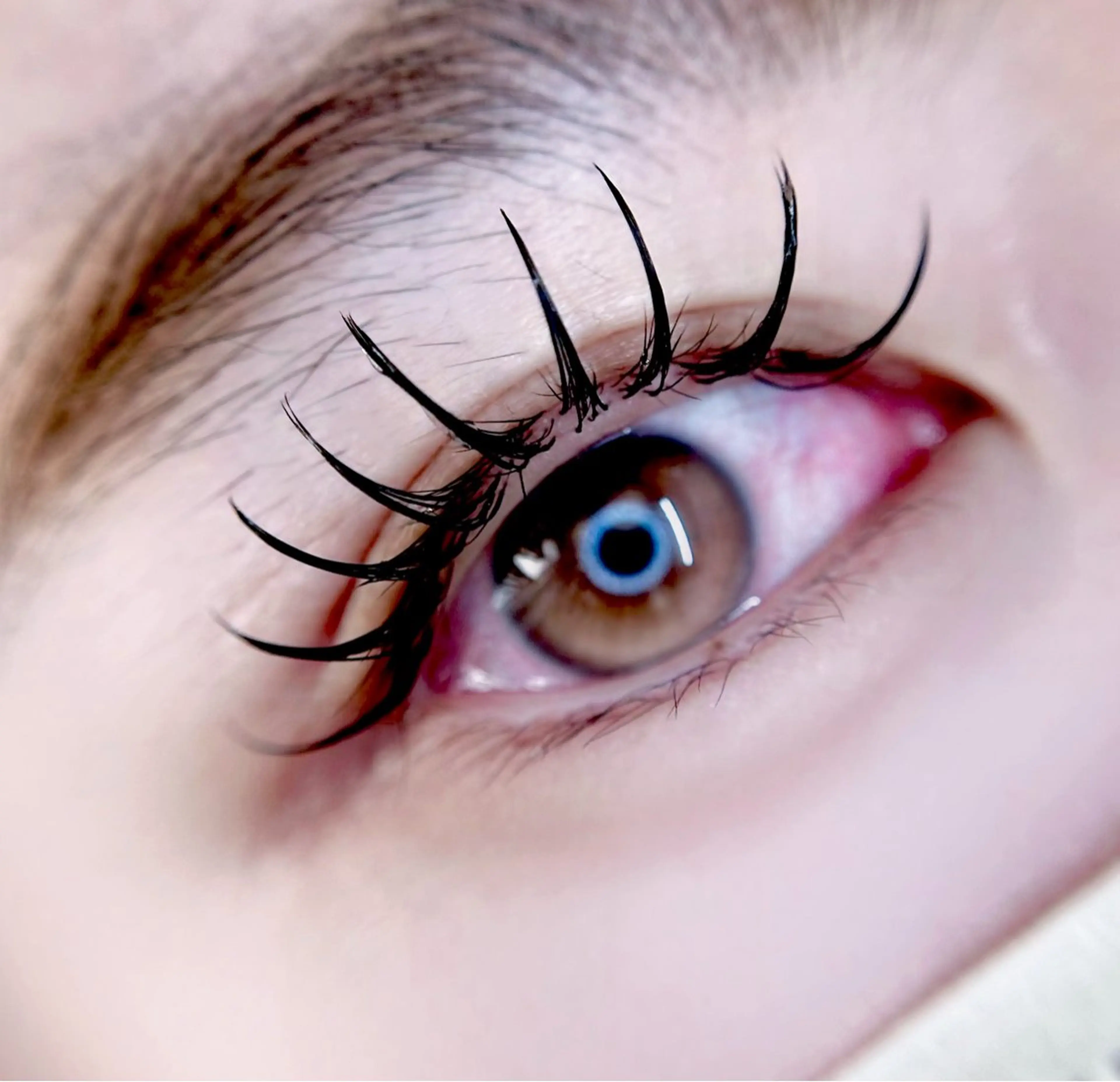 【オープン記念】エクステ＋パーマ&healthy‎𖤐 ̖́-‬フラットラッシュ120本の写真