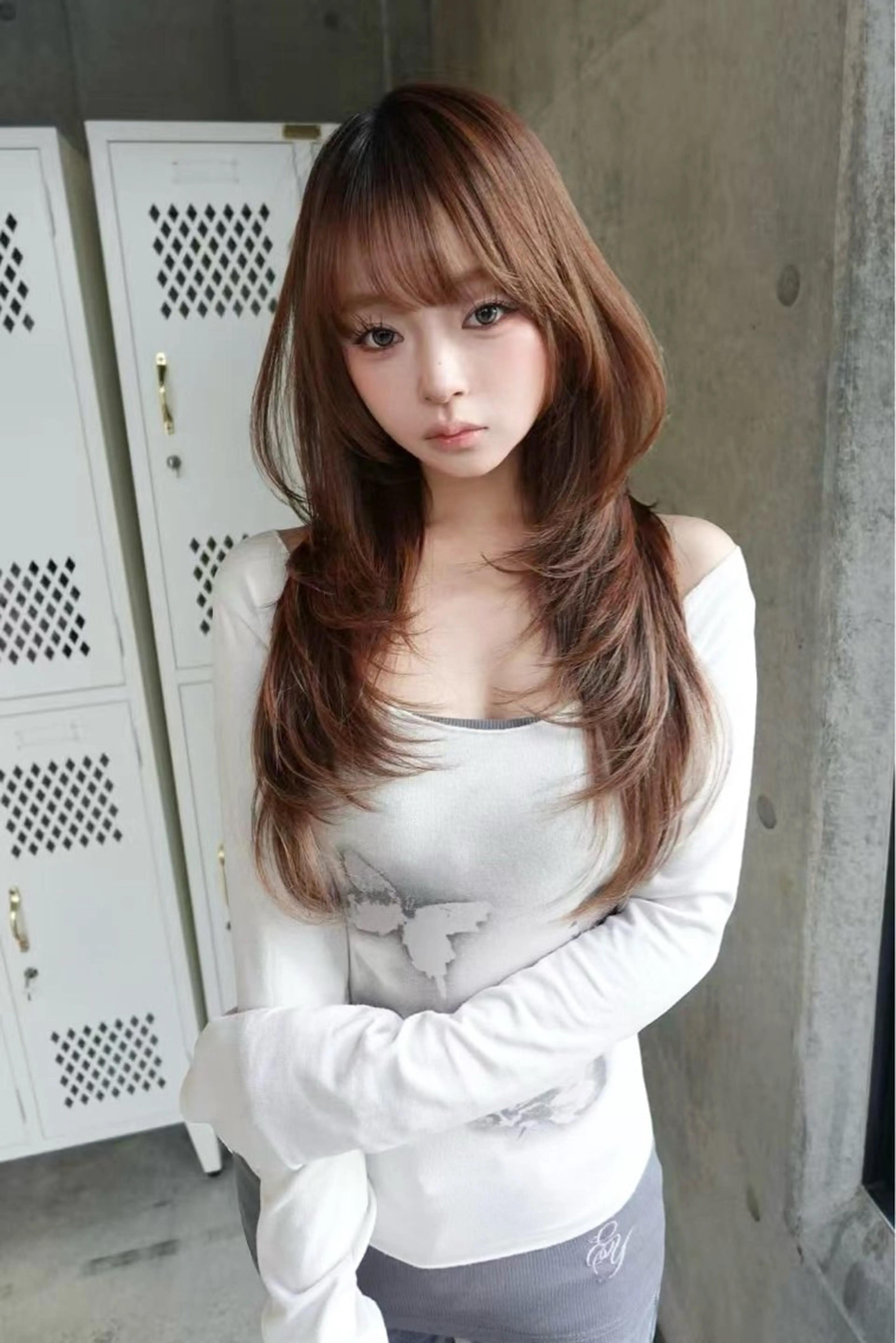 ハイレイヤーモデルの写真